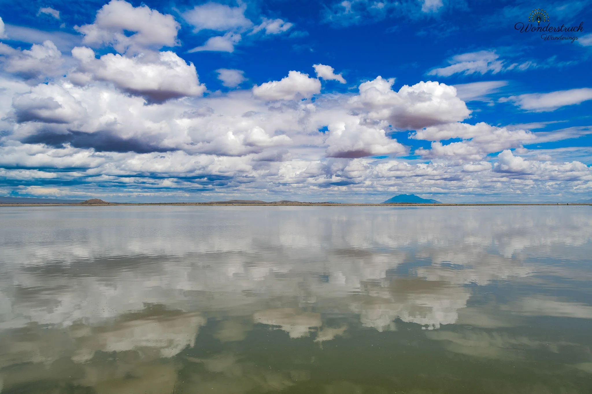 Amboseli NP-094.jpg