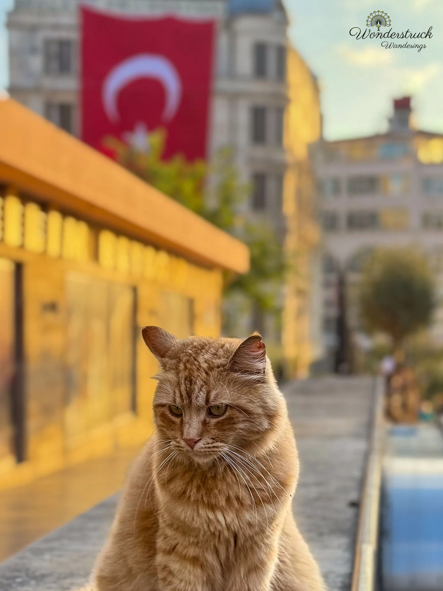 Istanbul-42.jpg