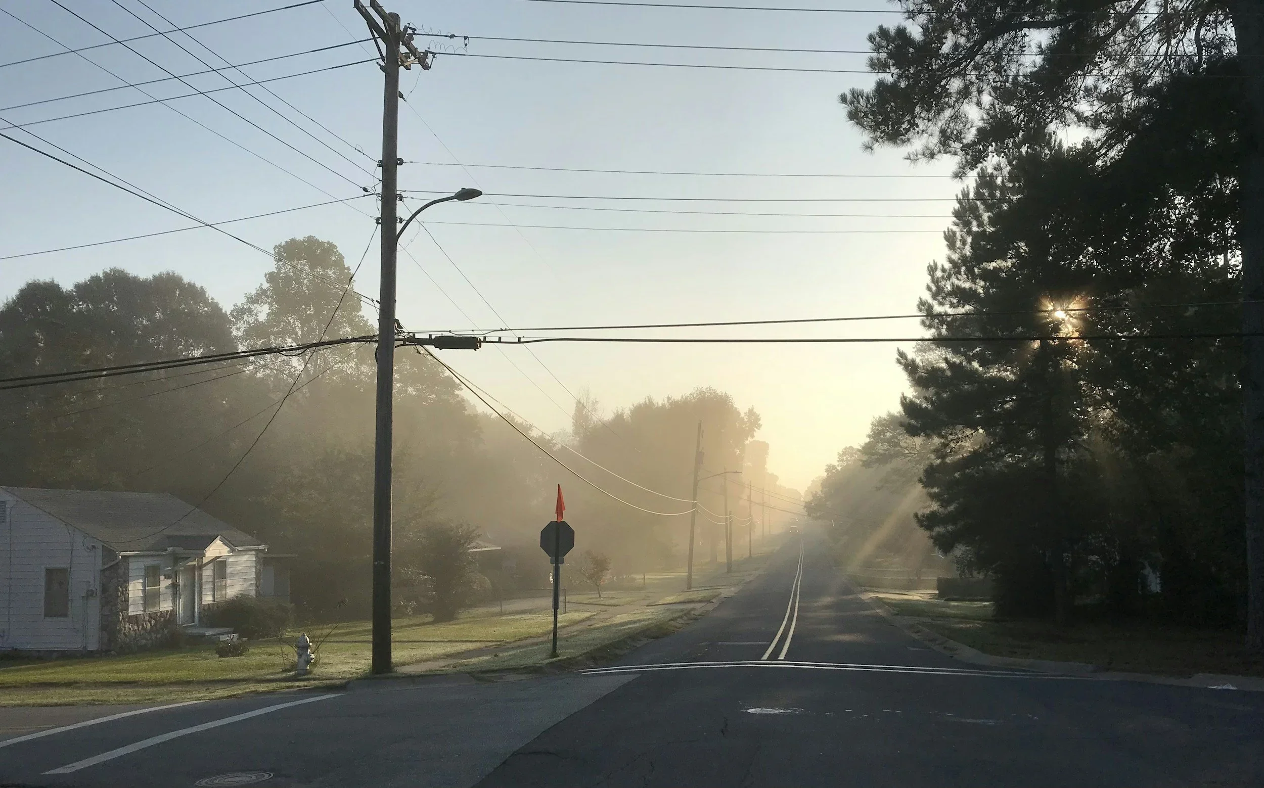 Wired for Optimism
