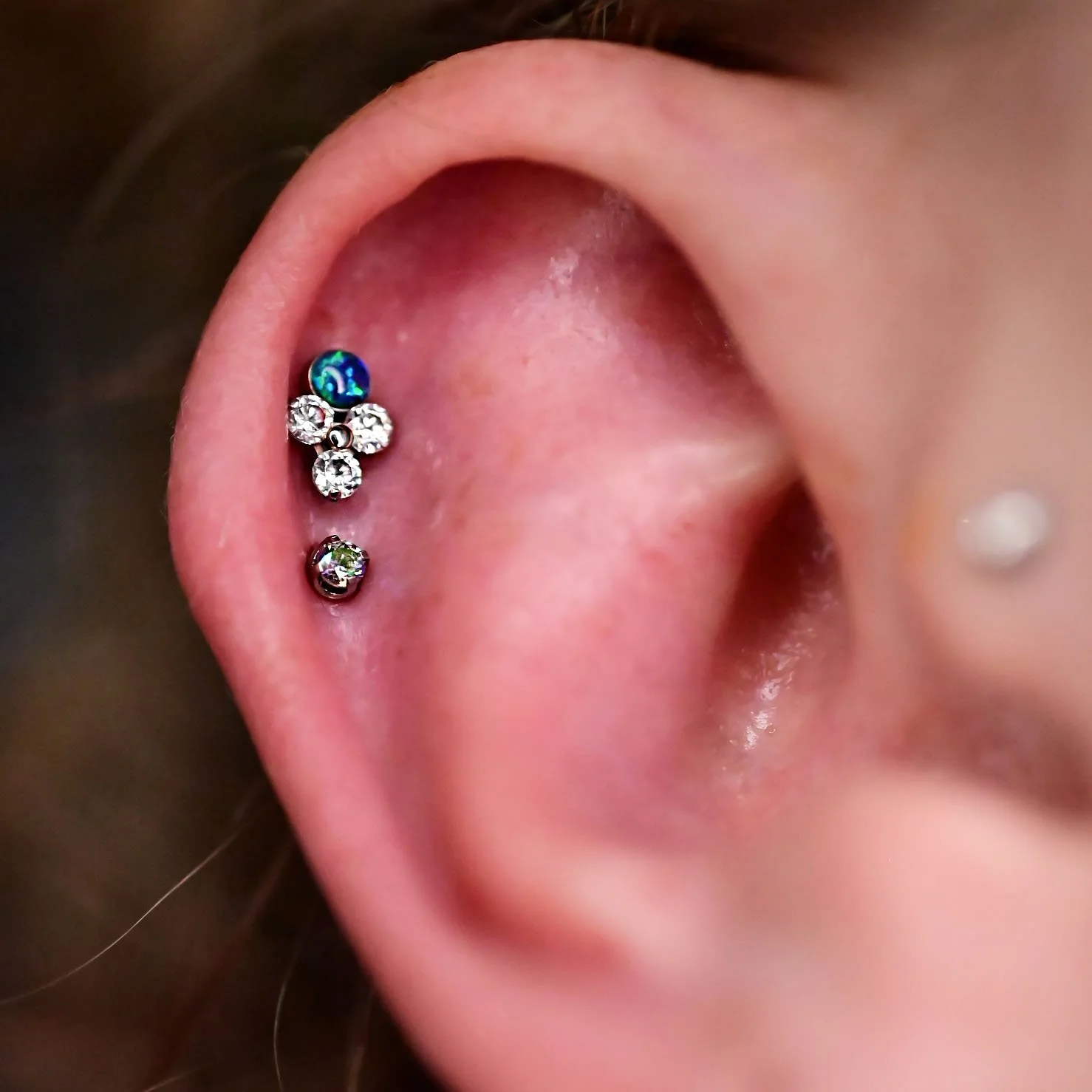 two helix piercings performed on a female with threadless titanium studs. helix piercings done on a female in a professional body piercing studio in calgary, alberta. helix piercing with a white cubic zirconia and swarofski crystal cluster. women wit