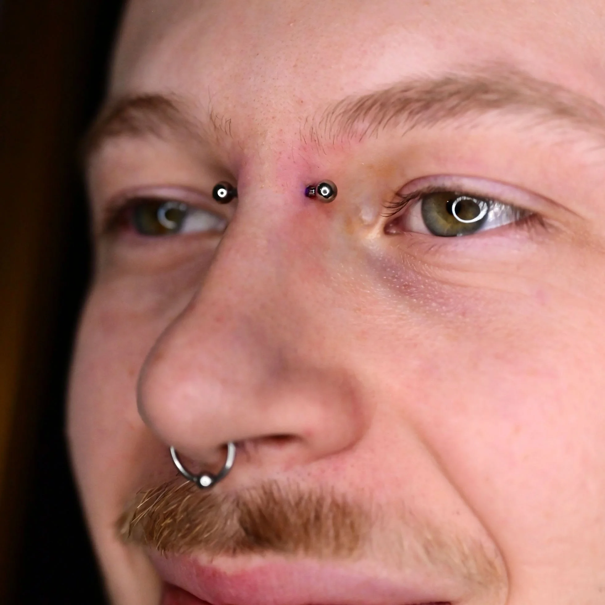 bridge piercing on a male, pierced with a titanium barbell in a professional body piercing studio in calgary, alberta by dee. male wearing a captive bead ring in a septum piercing
