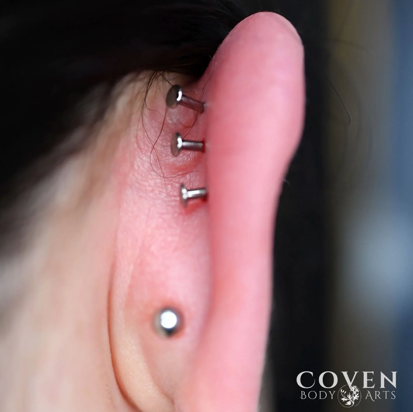 back side of a persons ear after having three flat piercings done with implant grade titanium flat back labrets from Canasteel Body Jewelry by Dee at Coven Body Arts, a professional body piercing studio in Calgary, Alberta, Canada.
Back side view of 