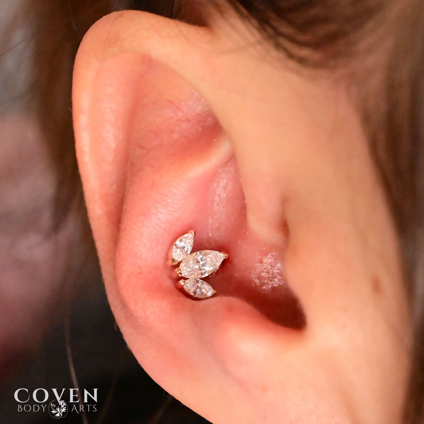 conch piercing, ear piercing, ear piercings, calgary body piercing, gold jewelry, 14k gold, yellow gold jewelry, body jewelry, Junipurr Body Jewelry