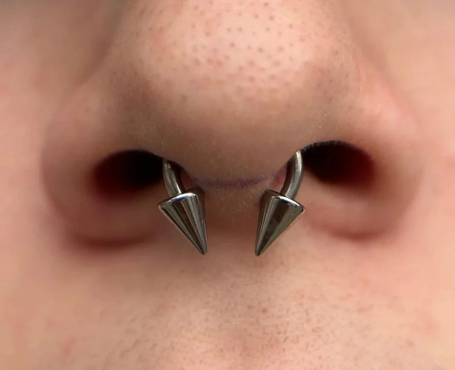closeup image of a septum piercing with a circular barbell and large spiked ends. an image of a person with a fresh septum piercing performed by a professional body piercer at a professional body piercing studio. a titanium circular barbell in a sept