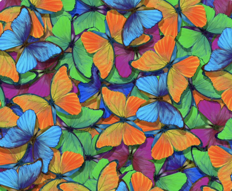 French Summer Camp, Week 2: Wonders of Nature (ages 5-12); M-F: July 13, 2026-July 17, 2026: 9:00am-12:00pm