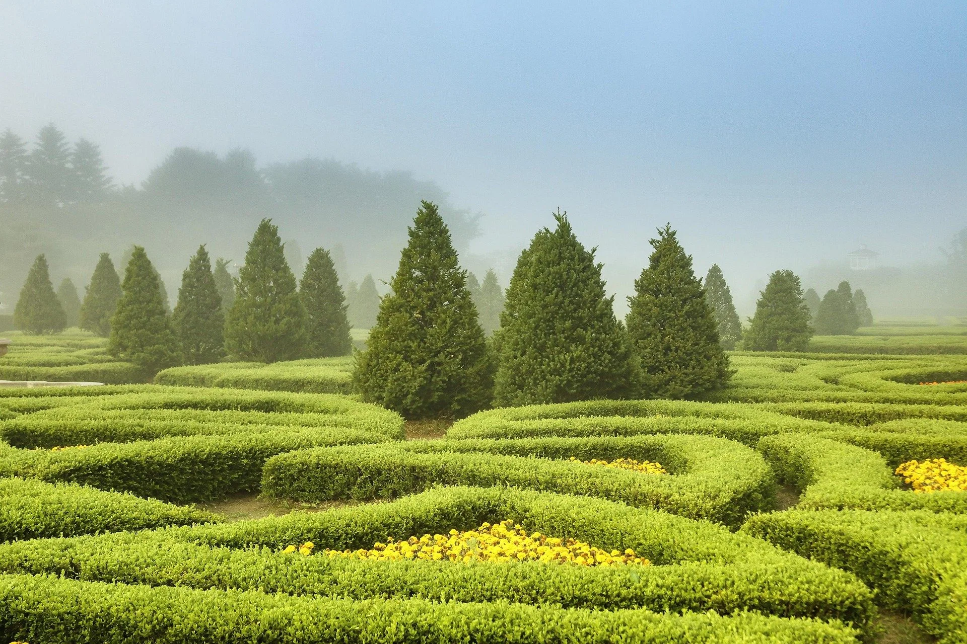 le2960-garden-4647544_1920.jpg