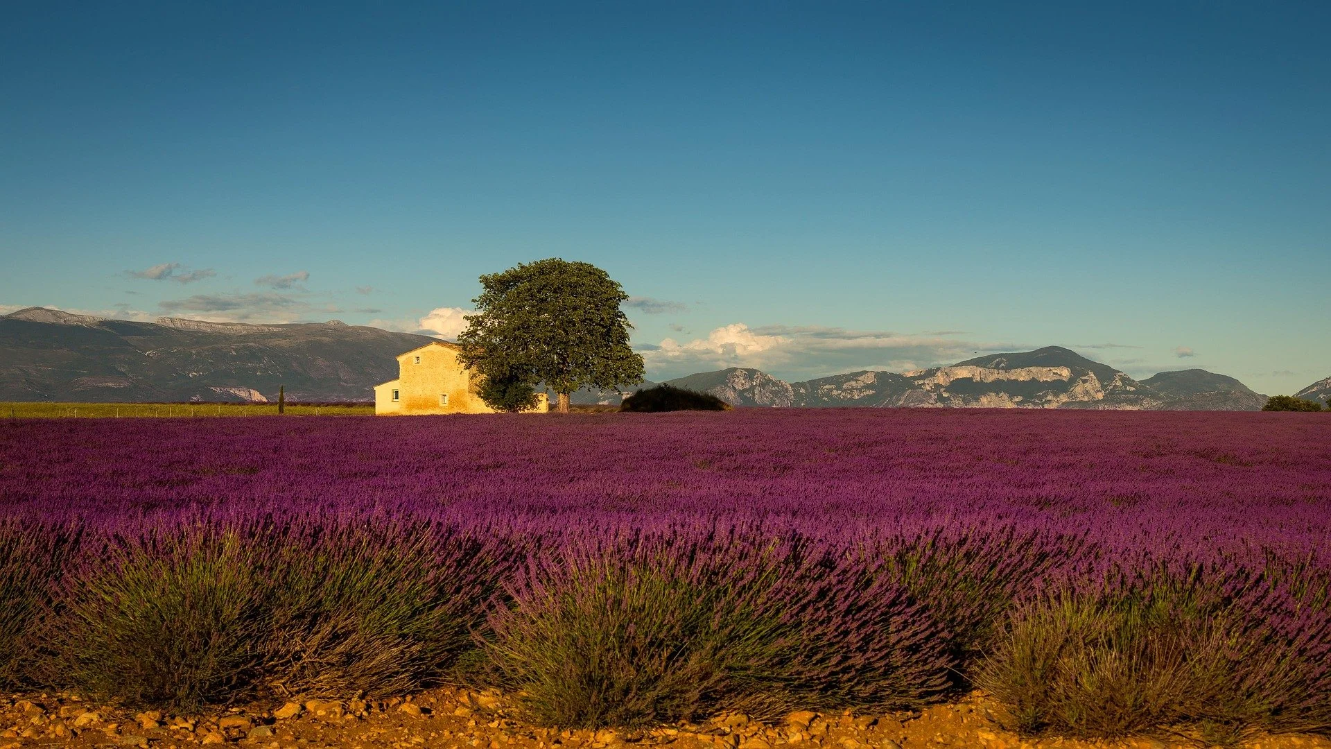 provence-4798070_1920.jpg