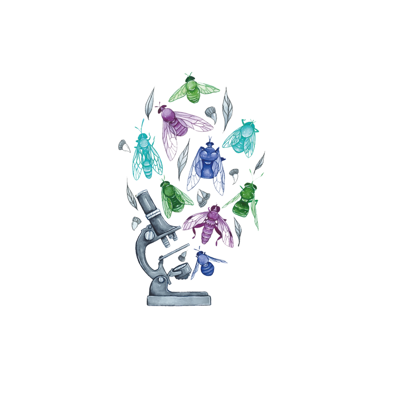 TEAM PRETTY FLY