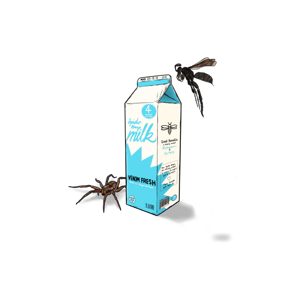 SPIDER WASP MILK