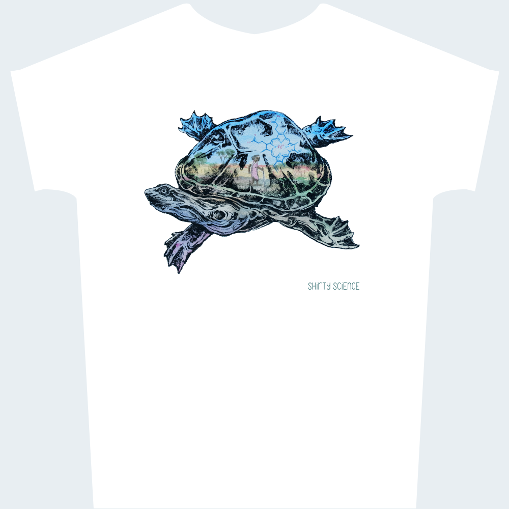 Turtle Territory