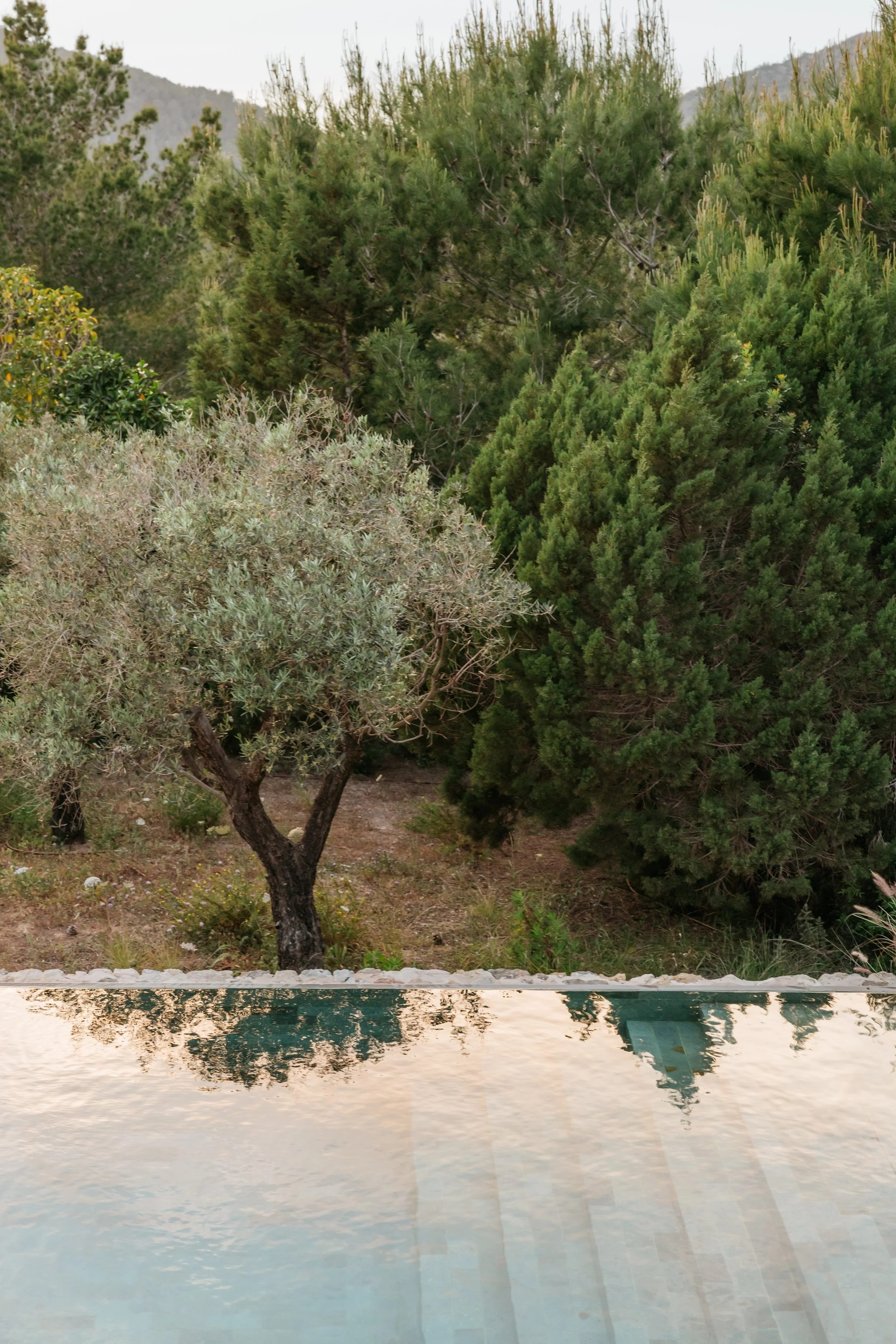 ibiza-luxury-villa-can-zama-maven-collection.jpg22.jpg