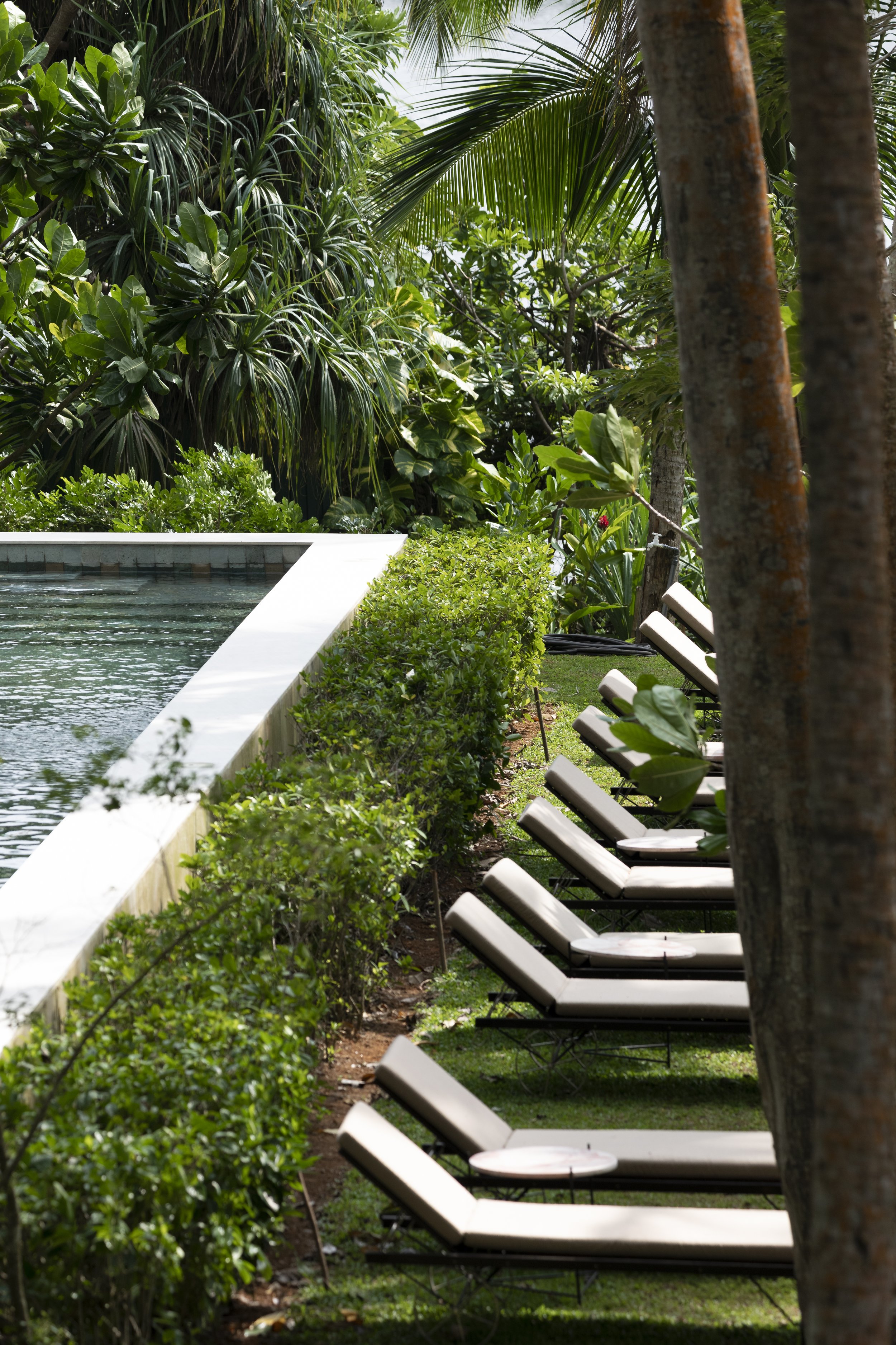 Copy of IMG_2009.jpg