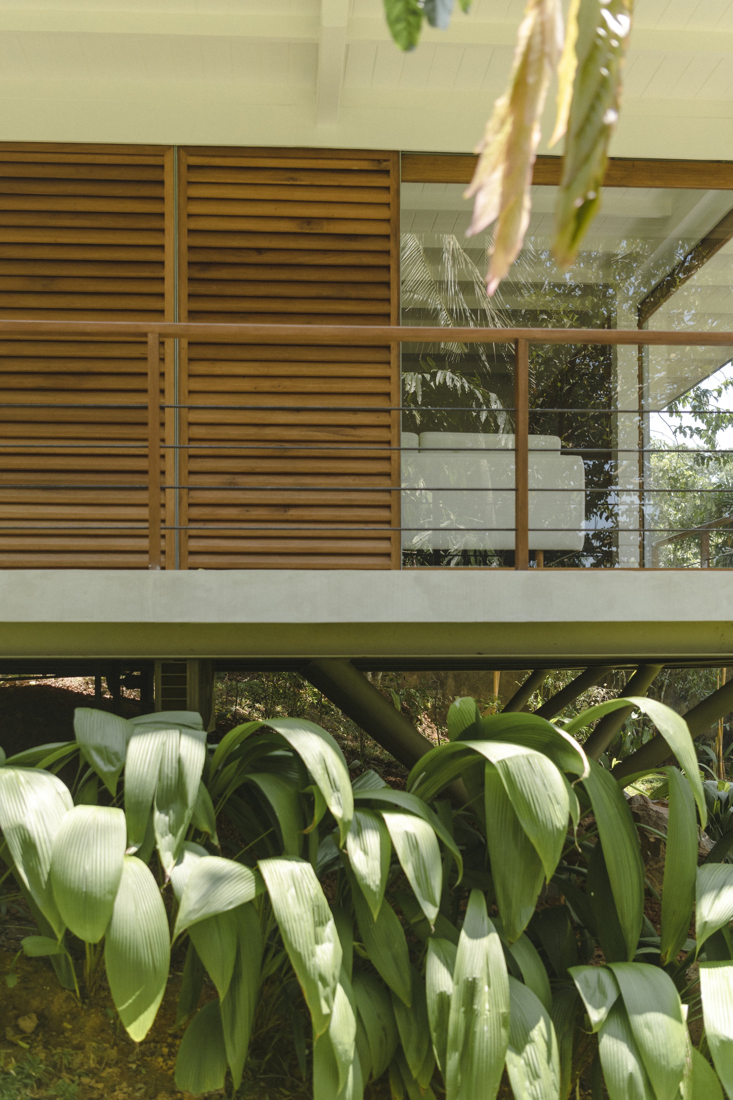 Copy of TREEHOUSE(4).jpg