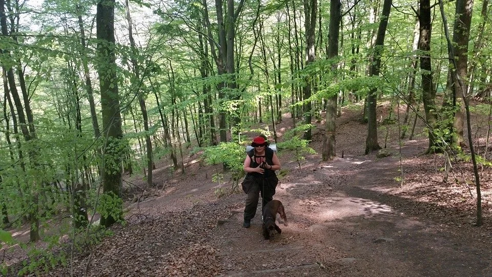 PÅ HIKE TUR I SVERIGE MED HUNDENE