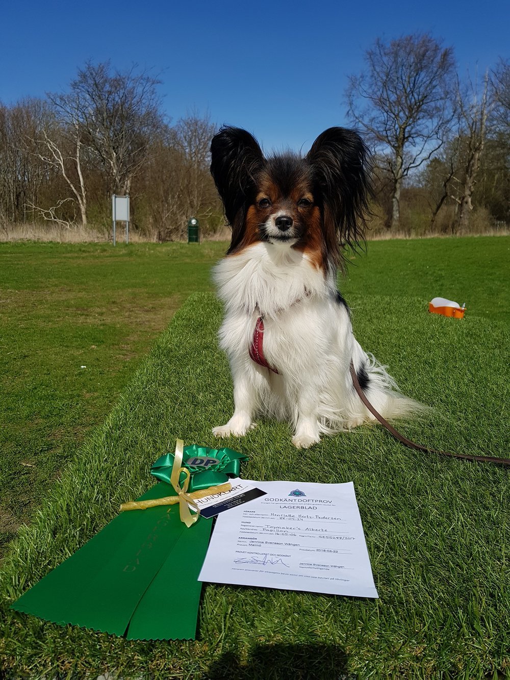 ALMA TIL DUFTPRØVE I LAGERBLAD