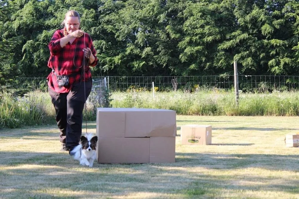 MADICKEN PÅ FØRSTE UOFFICELLE NOSEWORK PRØVE