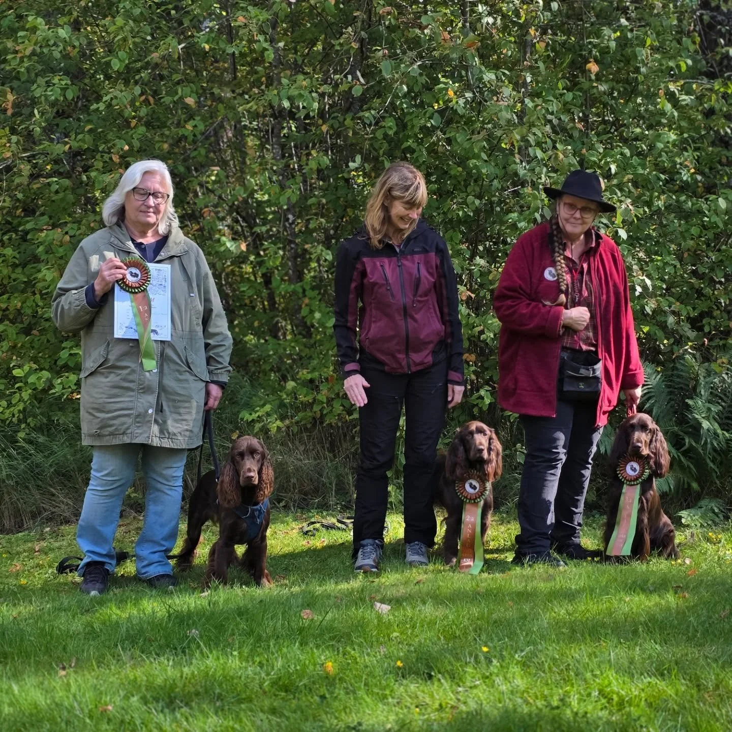 Today, we were at the Field Spaniel Clubs yearly club championship in bloodtracking. We had enetered 3 dogs which was also 3 generations!

11-year old Ginnie in Open Class, Ginnie's daughter 4,5 year old Bacardi also in Open Class and Bacardis daught