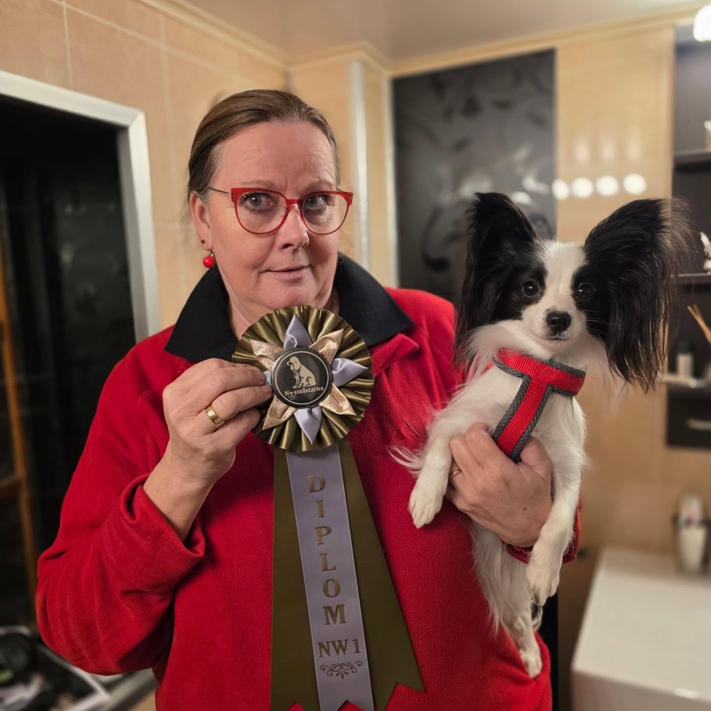 Flower-Power took her first nose work diploma in the interior speciality competetion. 

Falstrias Let The Sunshine In sniffed her socks off and walked away with 4 found hides in a very intersting museum-search areas. 

#papillon #falstriasletthesunsh
