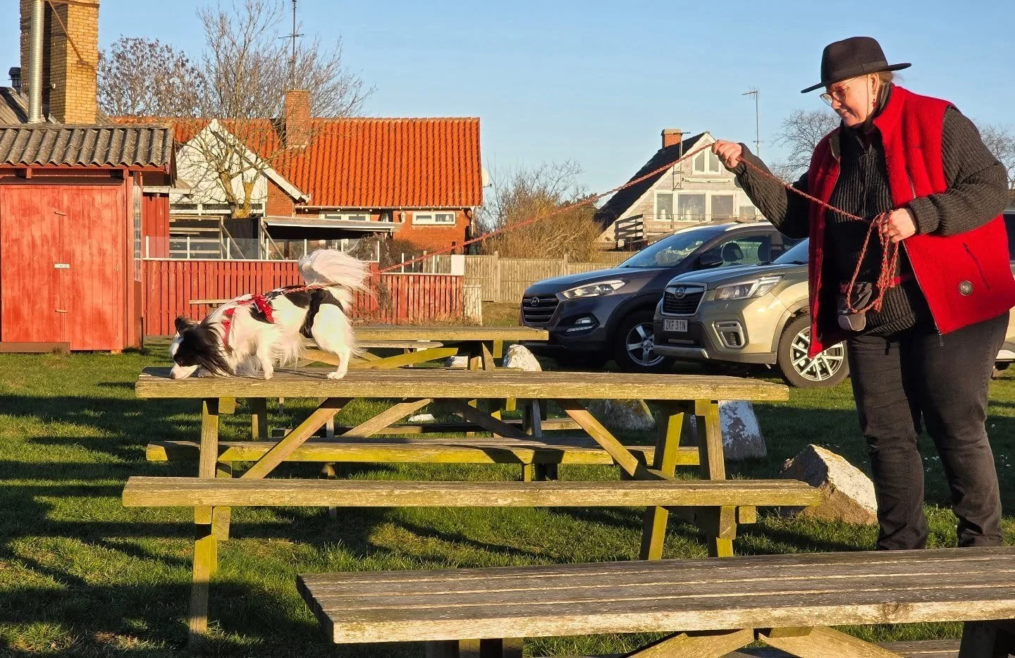 Today it was nose work training! 
It was windy and sunny and cold 🥶 But the papillons are rockstars at nose work so all hides were found and much fun was had!

On the pictures: 
Flower-Power (Falstrias Let The Sunshine In)
Alma (Toymaker's Alberte)
