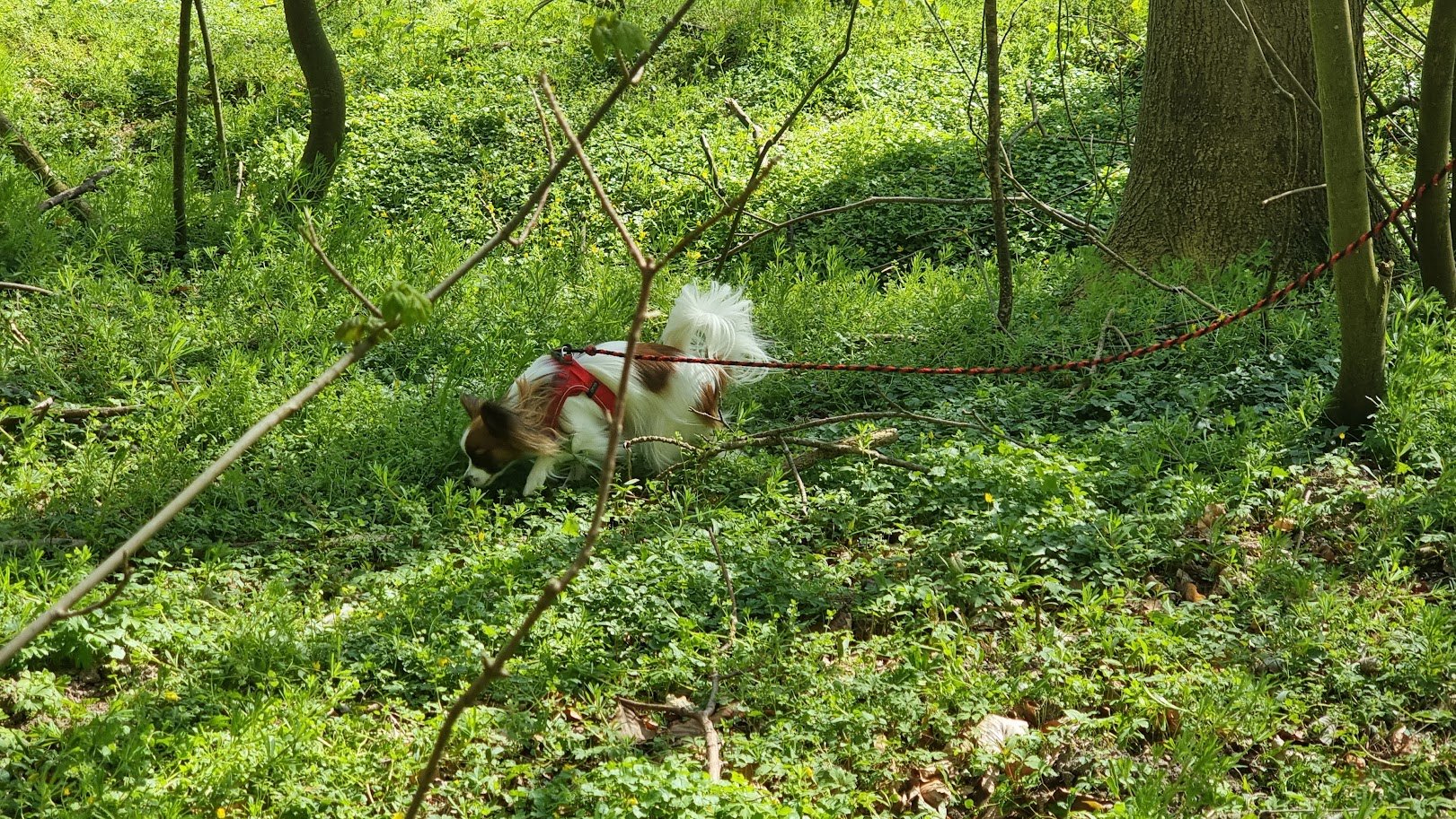 20230505_142919.jpg