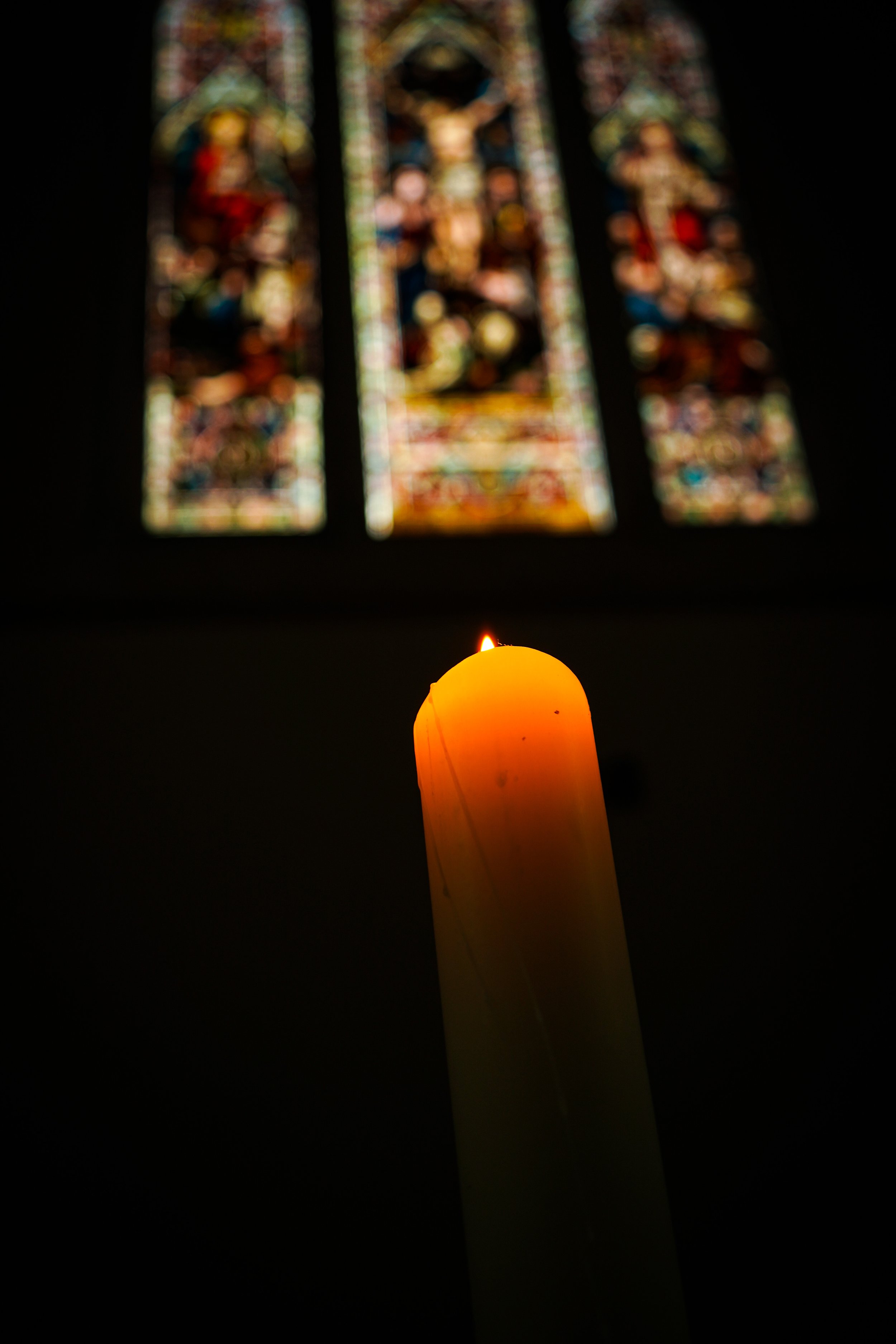 DSC00481 (1).JPG