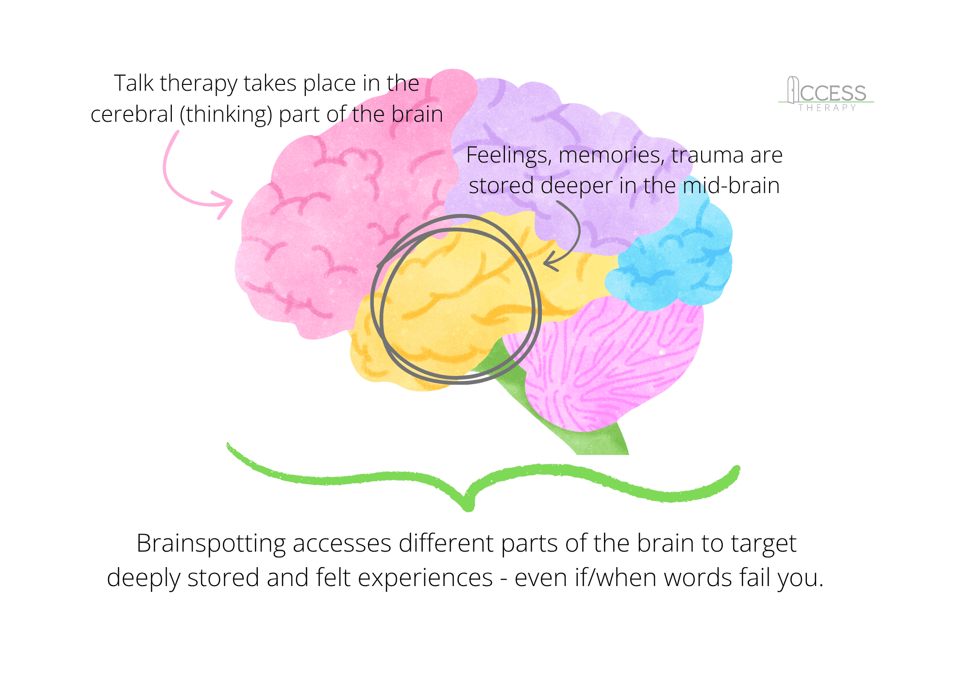 Illustration of a brain with labeled regions in pink, purple, yellow, and blue, indicating different brain functions related to therapy and memories, with text explaining brainspotting and brain targeting for emotional processing.