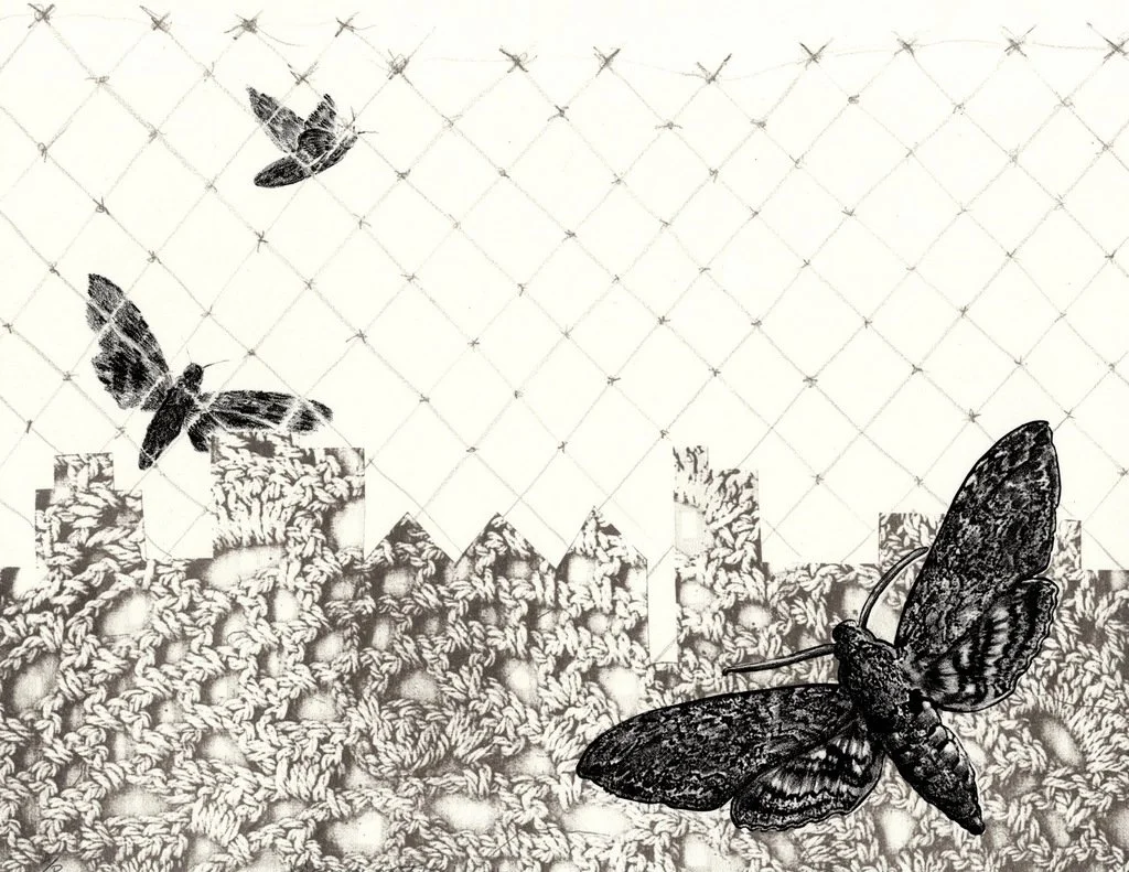 MEMORY OF THE MOTH, Lithograph, 11 x 15 inches