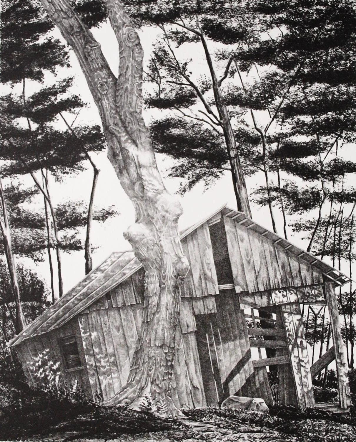 BALANCE, Lithograph, 24 x 20 inches