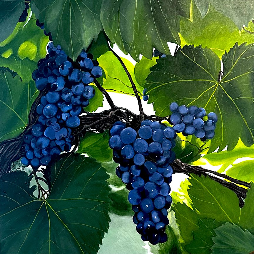 "Bountiful Vine" | 36 x 36  | 2026 | Jen Day