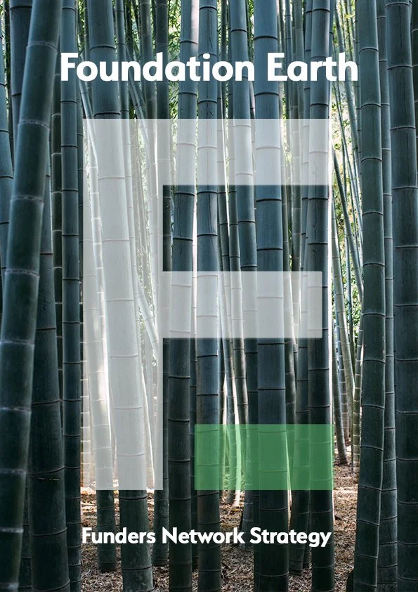 Find out how we plan to create new funding networks that catalyse coherence among responses.