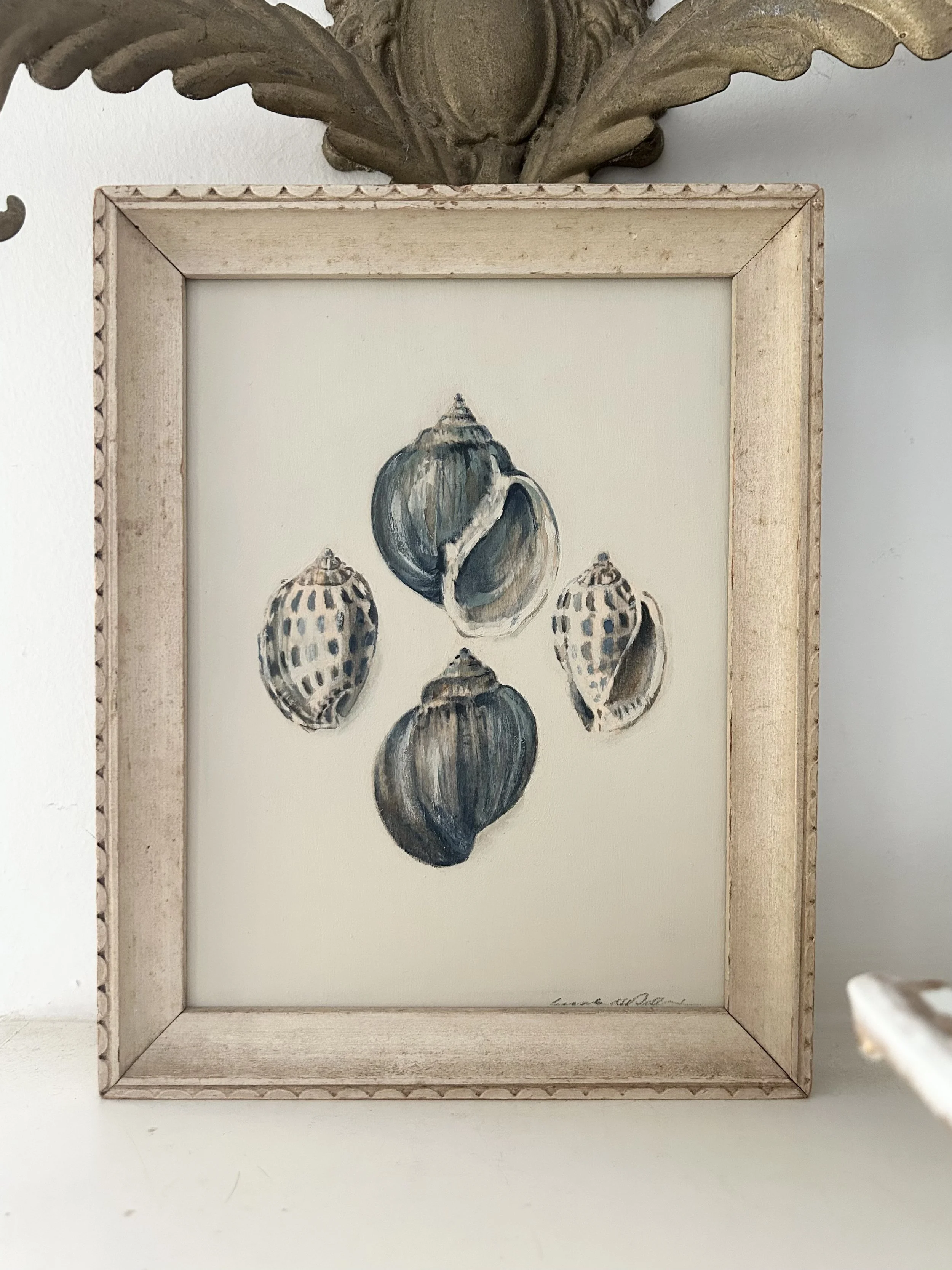 Catalogue of Shells in Blue ll