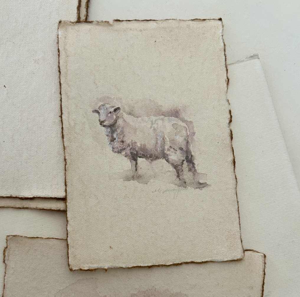 Mom Sheep in Rose