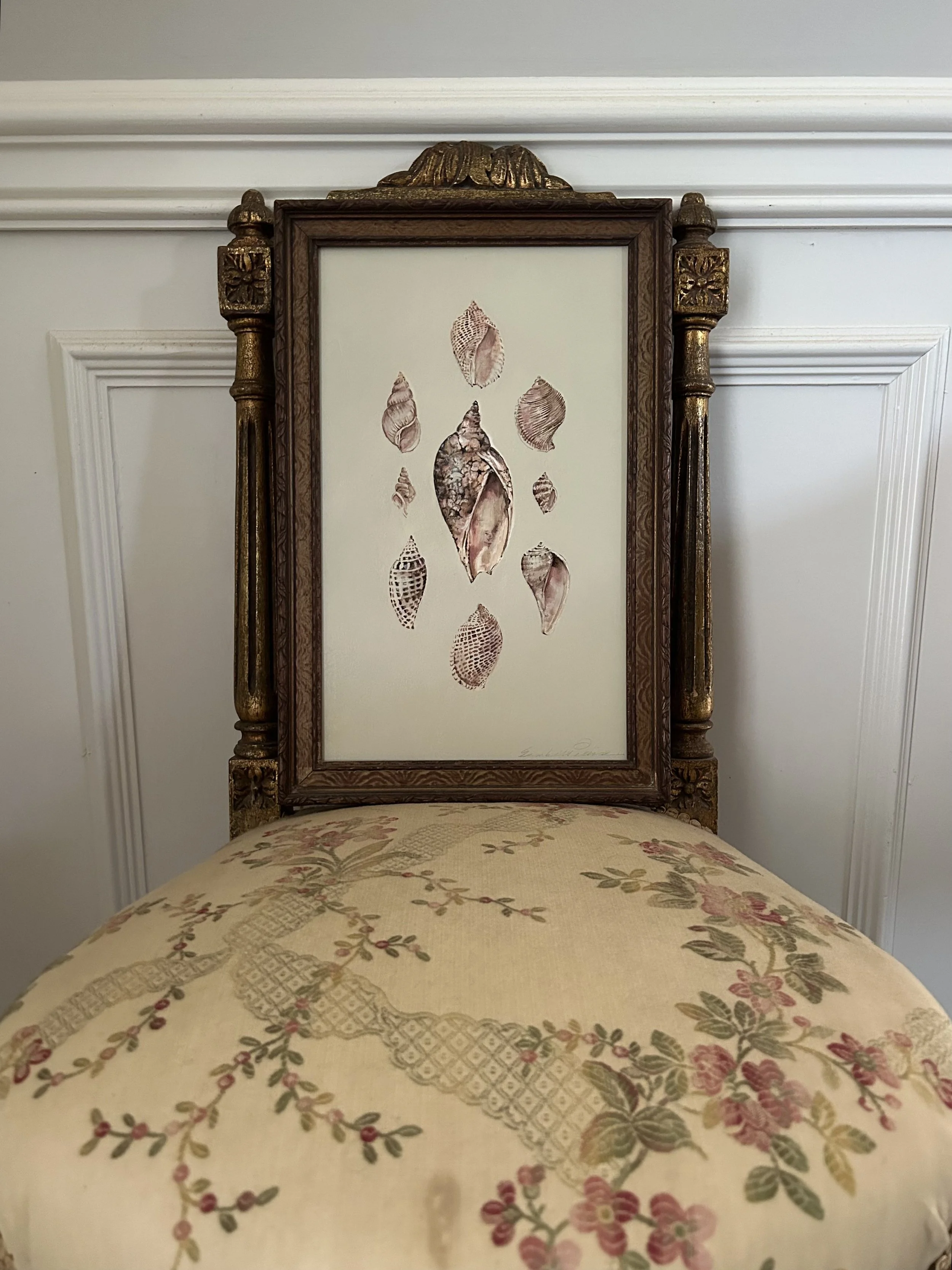 Monochromatic Shell Catalogue in Pink