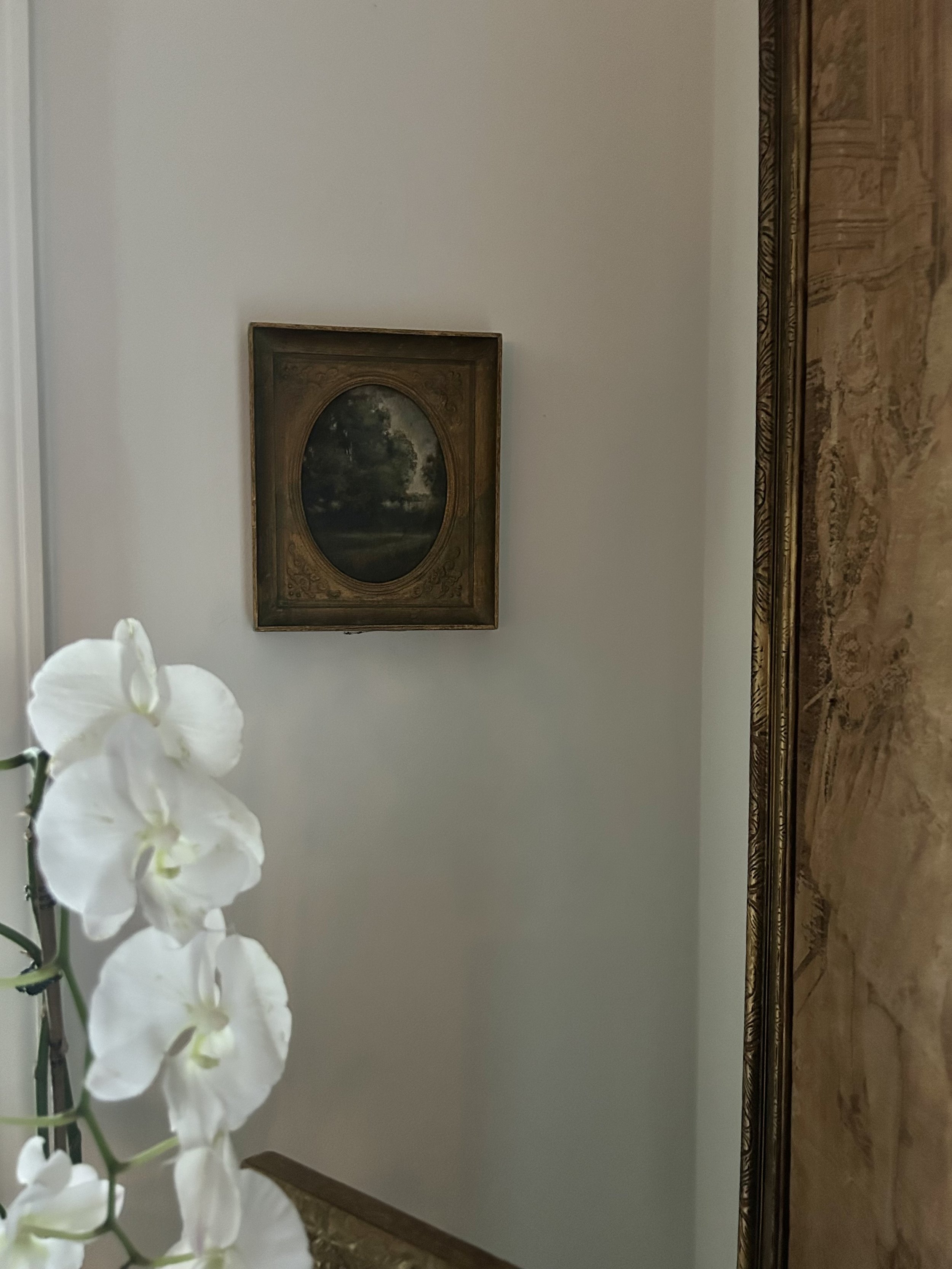 IMG_9029.jpeg