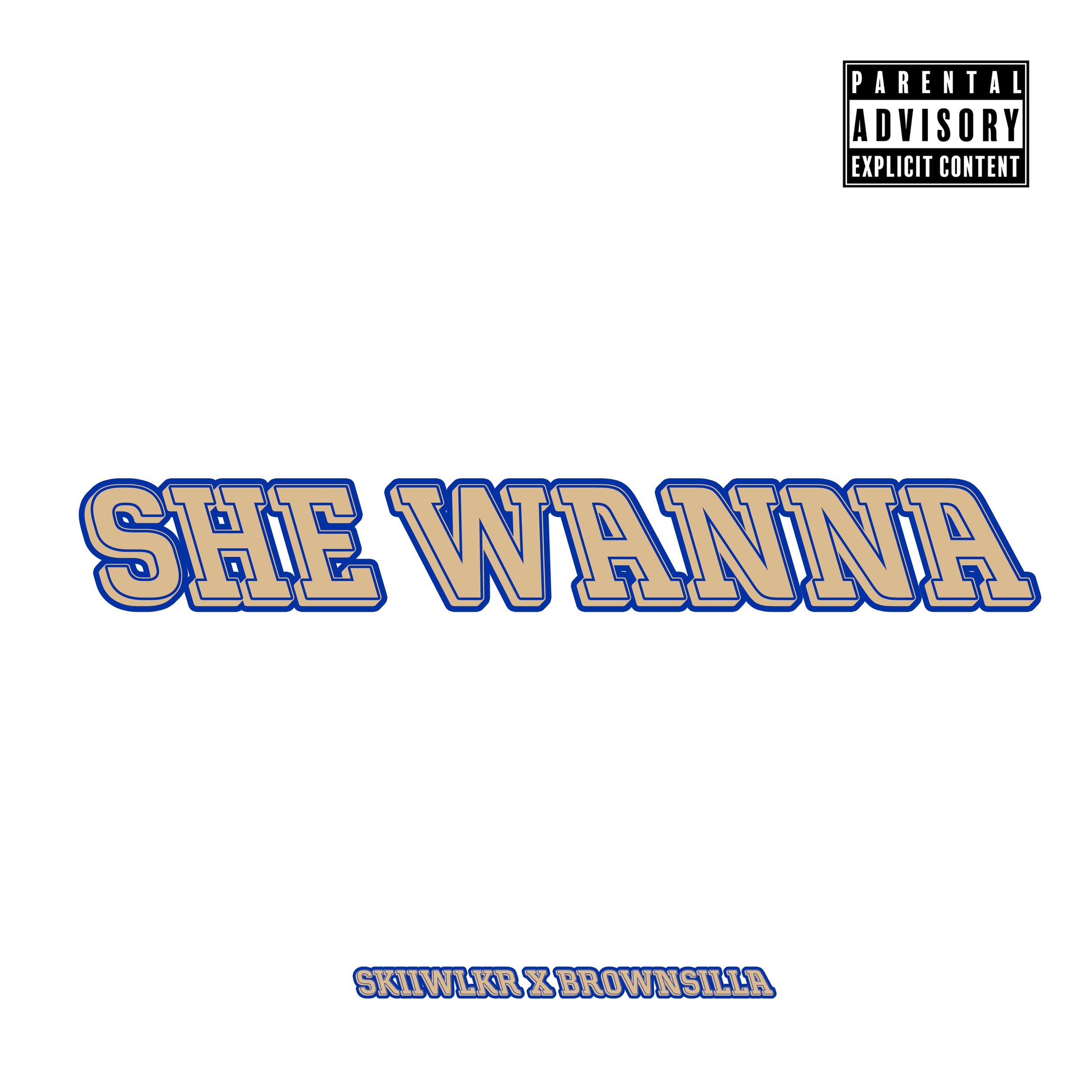 Skiiwlkr - She Wanna (ft. Brownsilla)