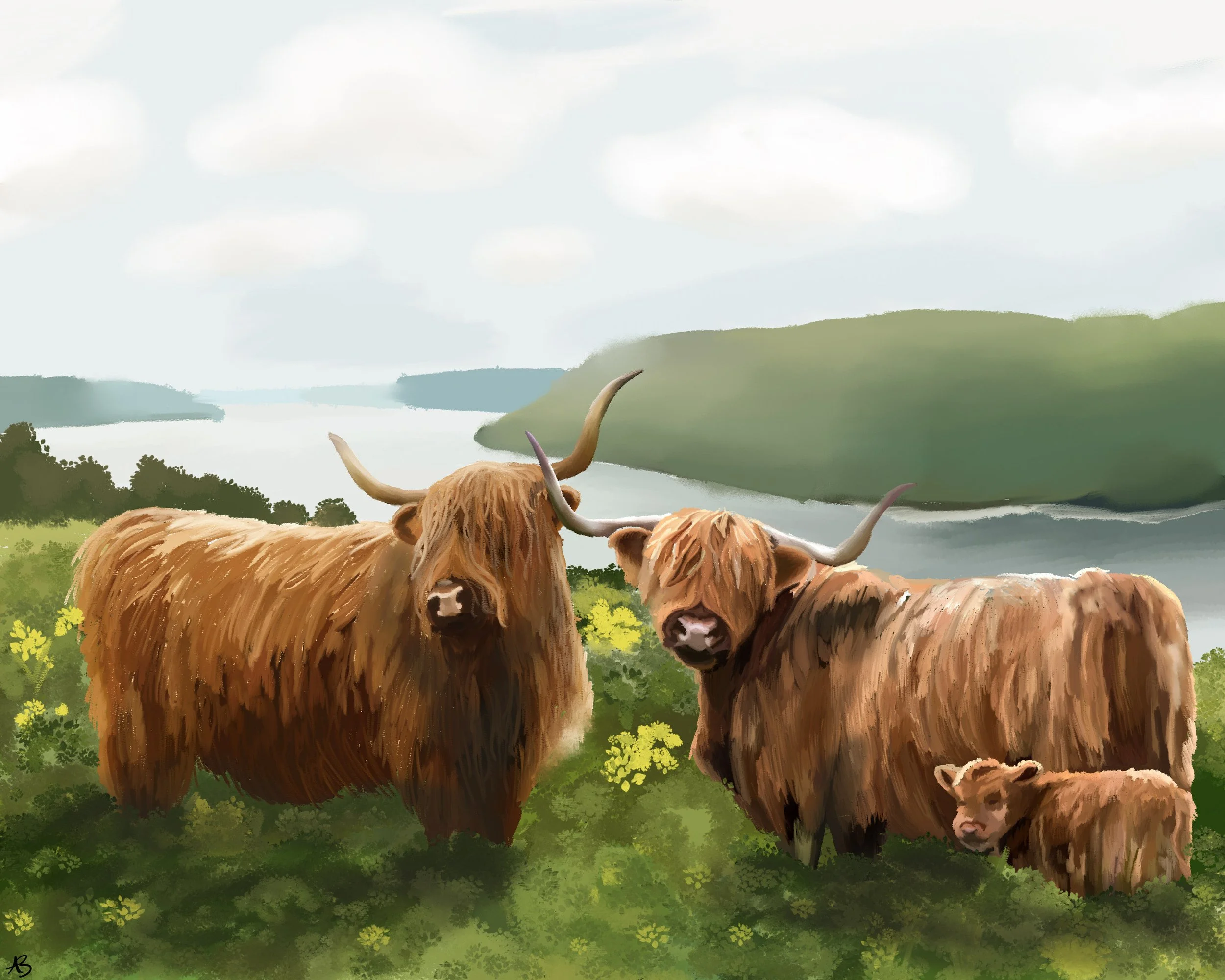 Highland Cows-V2.jpg