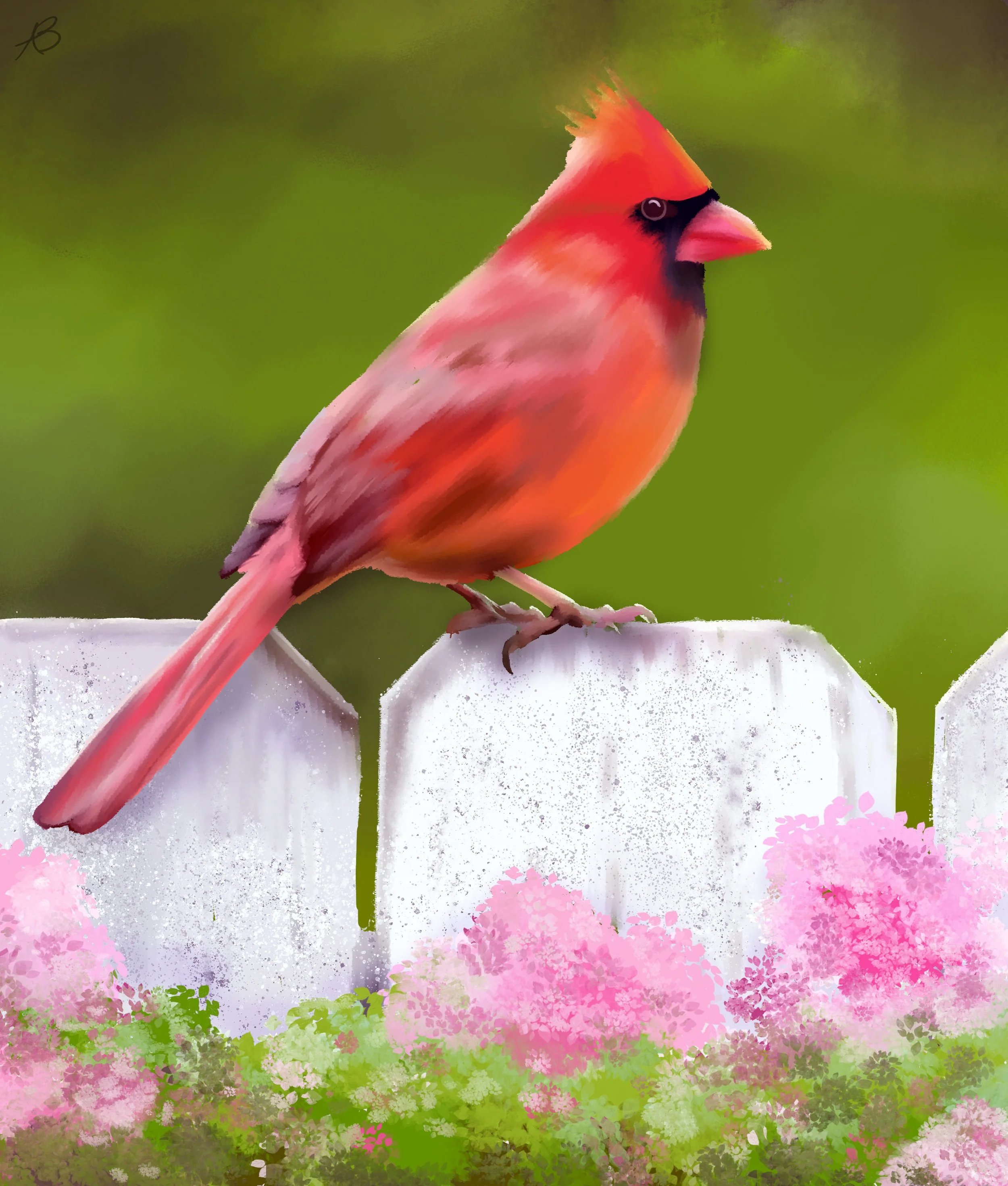 Spring Cardinal.jpg