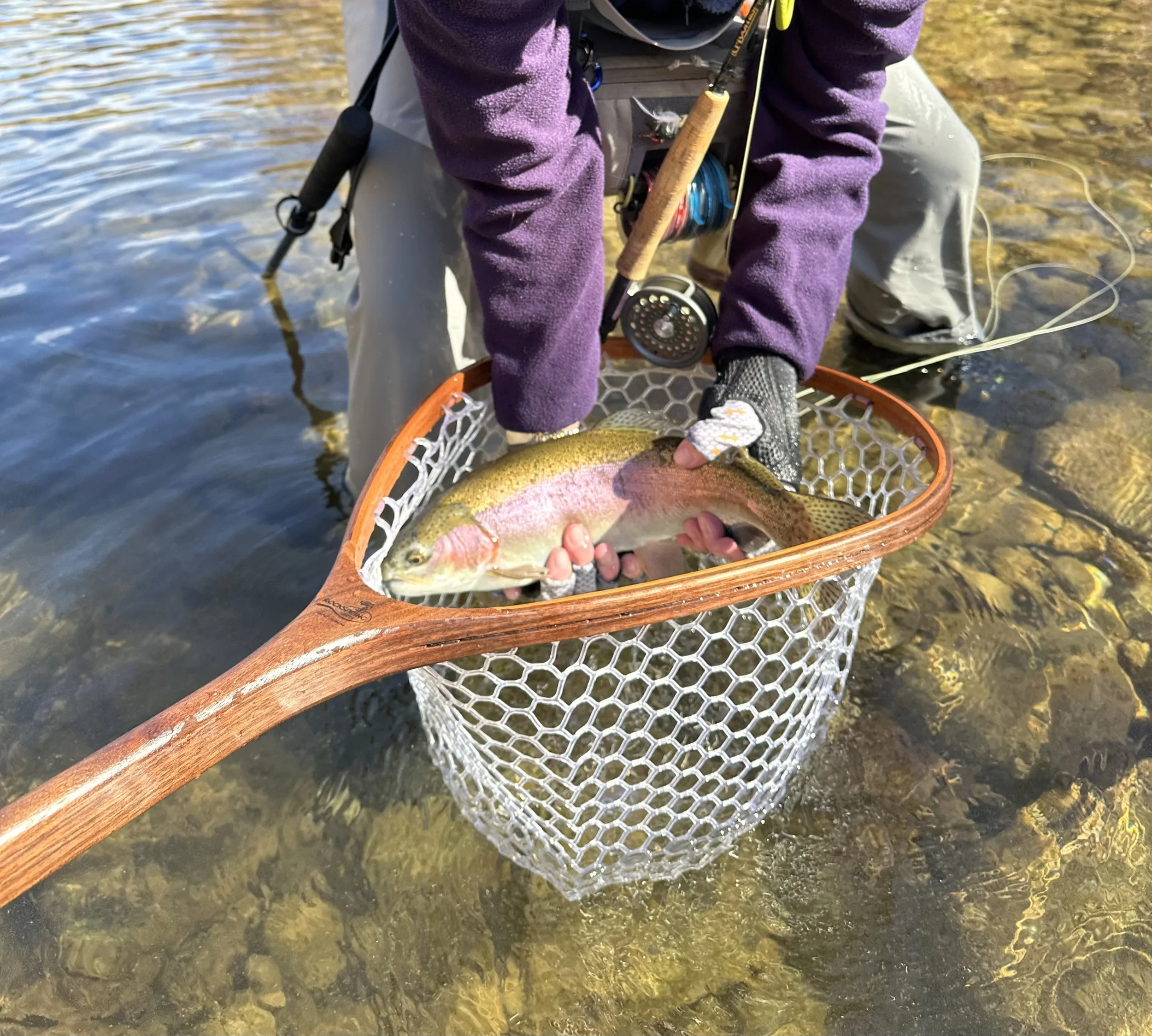 rockspring-nets-guide-holding-wooden-landing-net-rainbow-trout.JPG