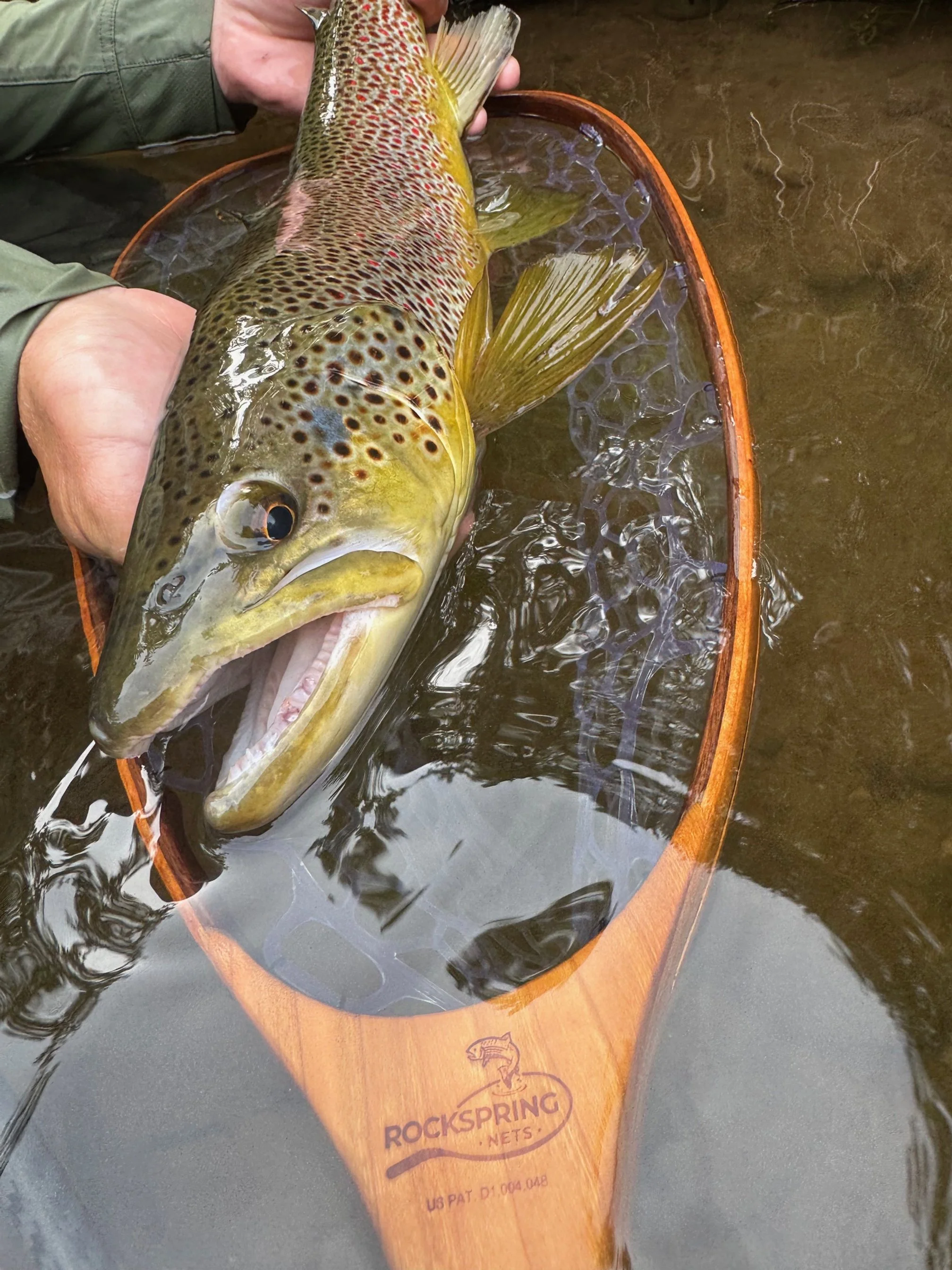 rockspring-nets-large-brown-trout-release-wooden-landing-net.jpg
