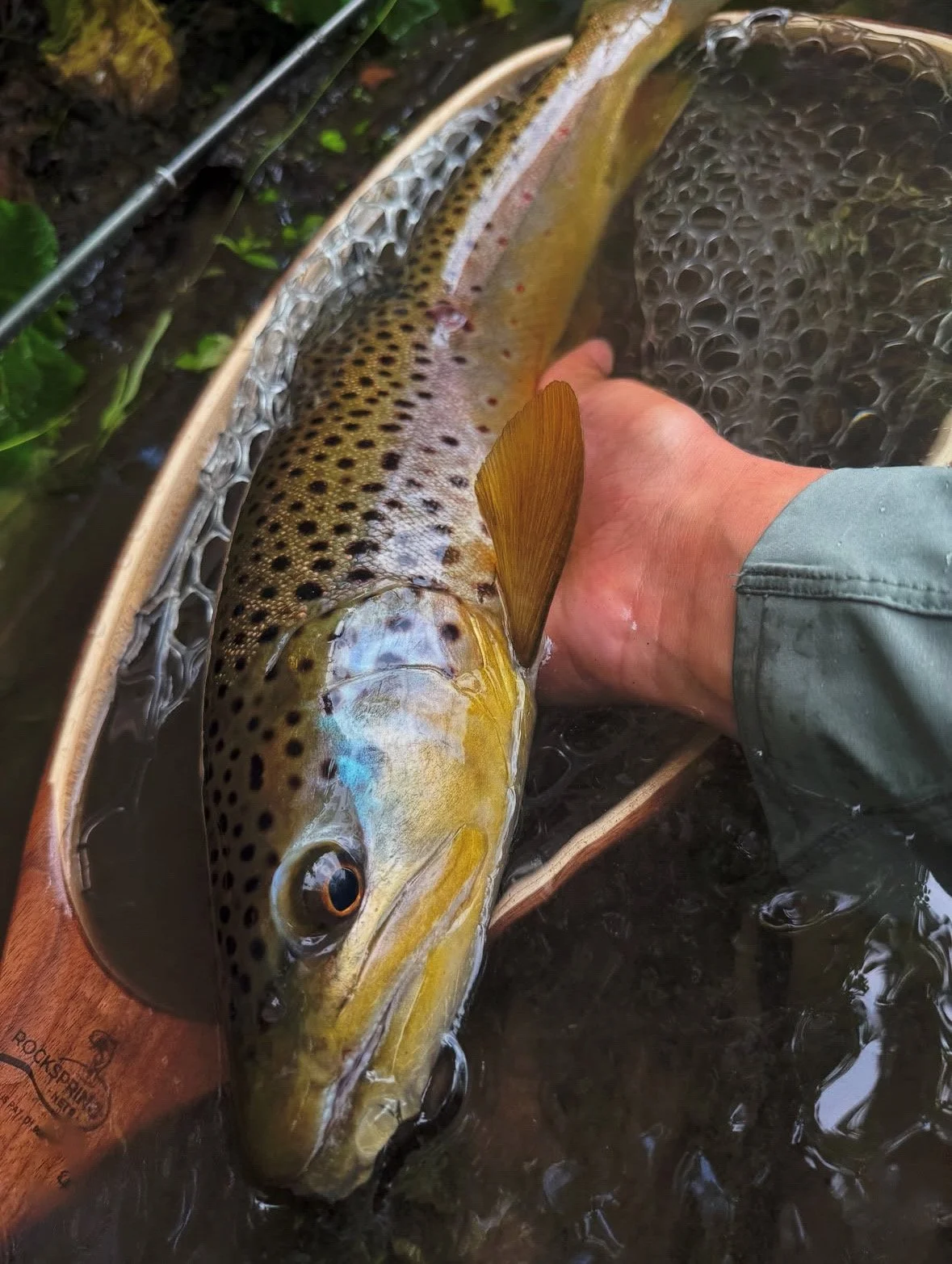 rockspring-nets-large-brown-trout-release-wooden-landing-net.JPEG