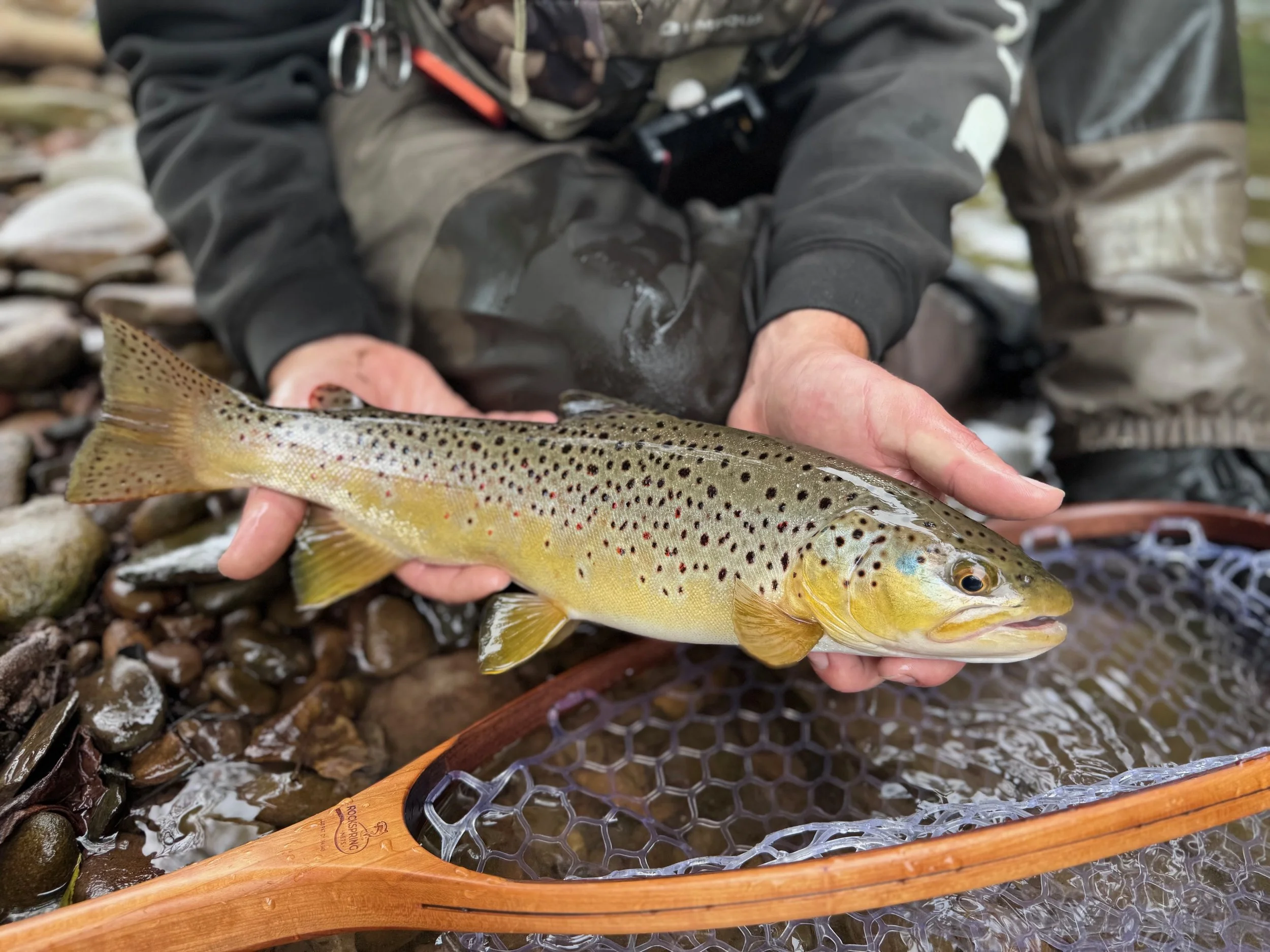 rockspring-nets-brown-trout-stream-release-wooden-landing-net.jpg