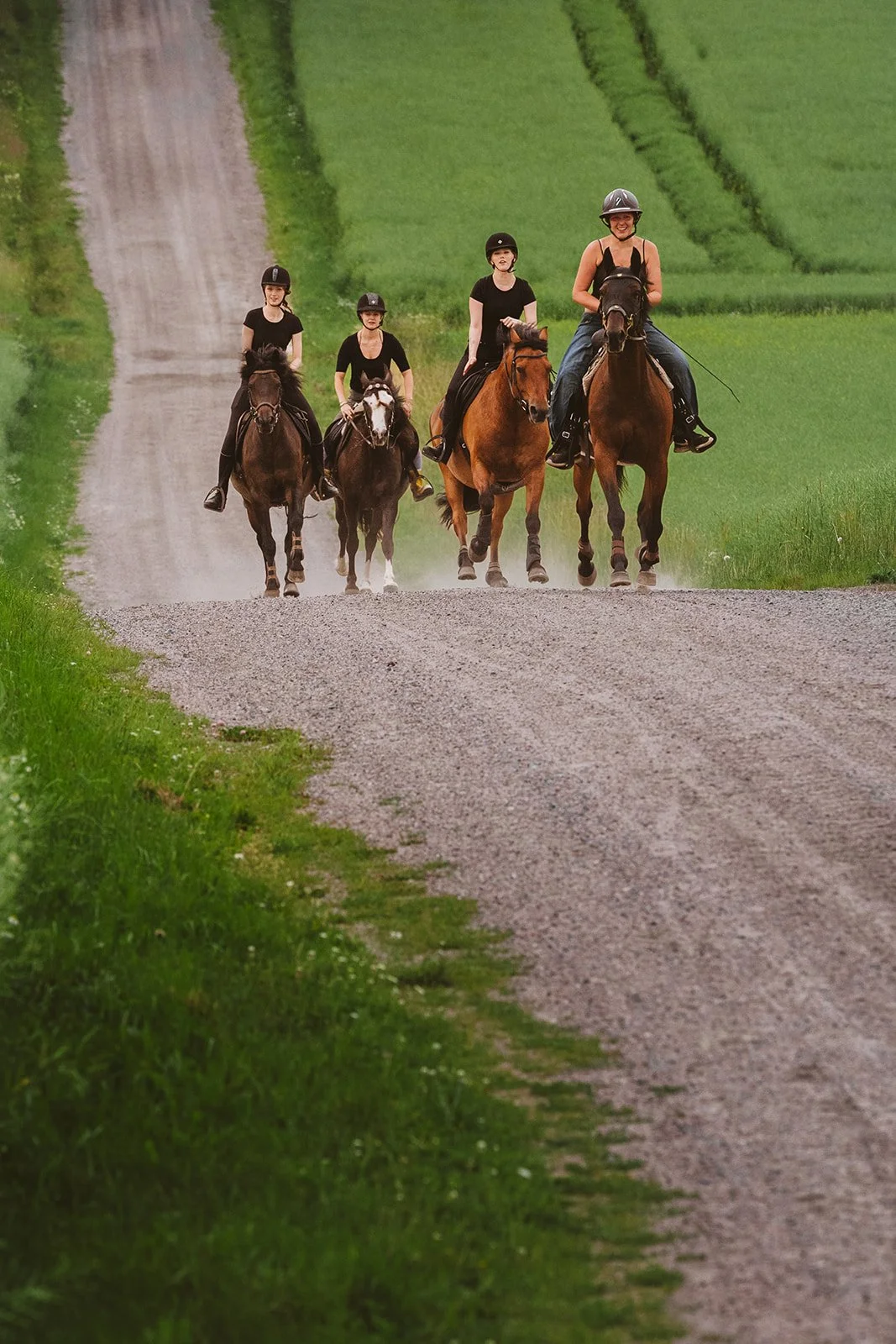 Sunnuntain ohjatut maastoratsastukset klo 14-17 ERI PÄIVIÄ