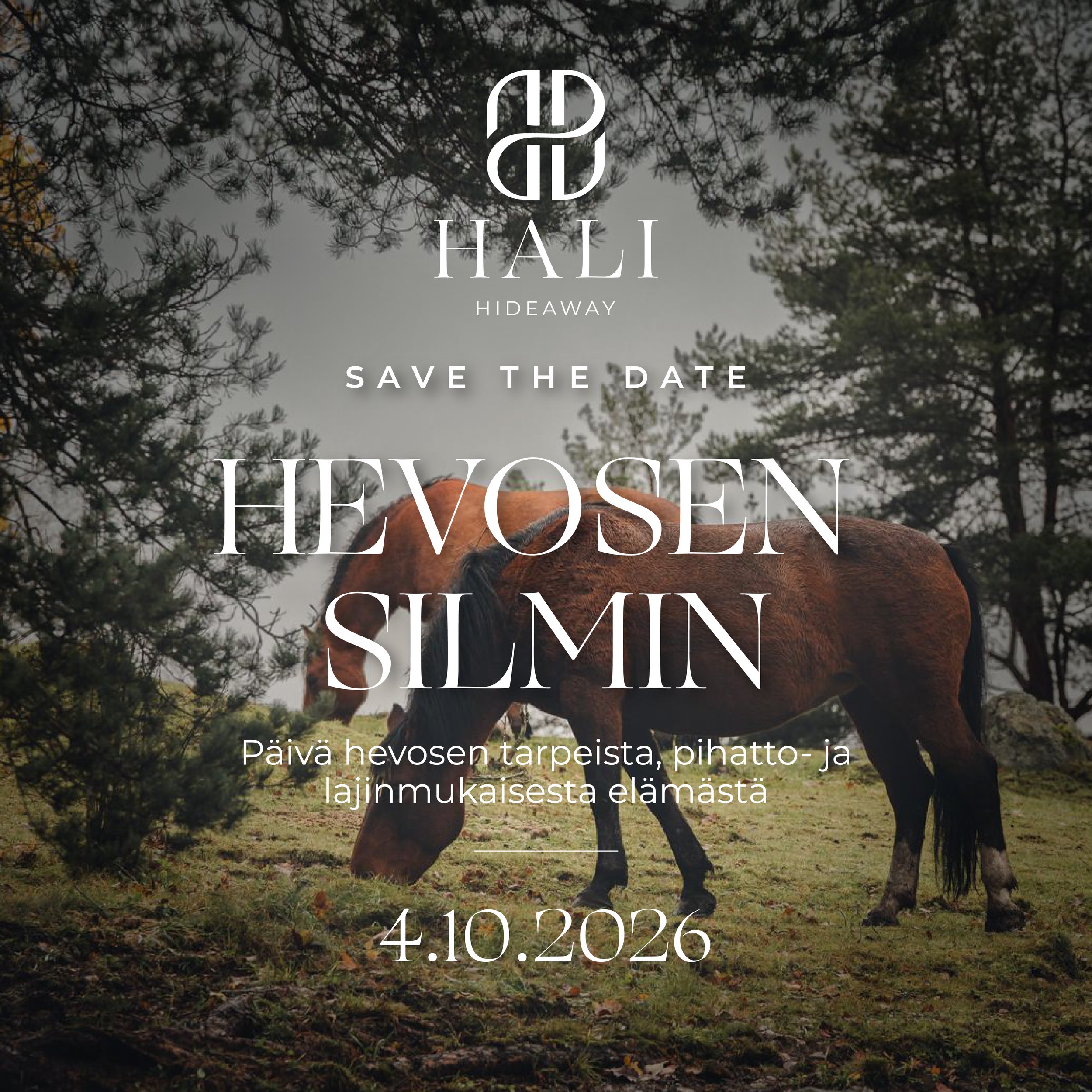 Hevosen silmin_save the date IG postaus.JPG