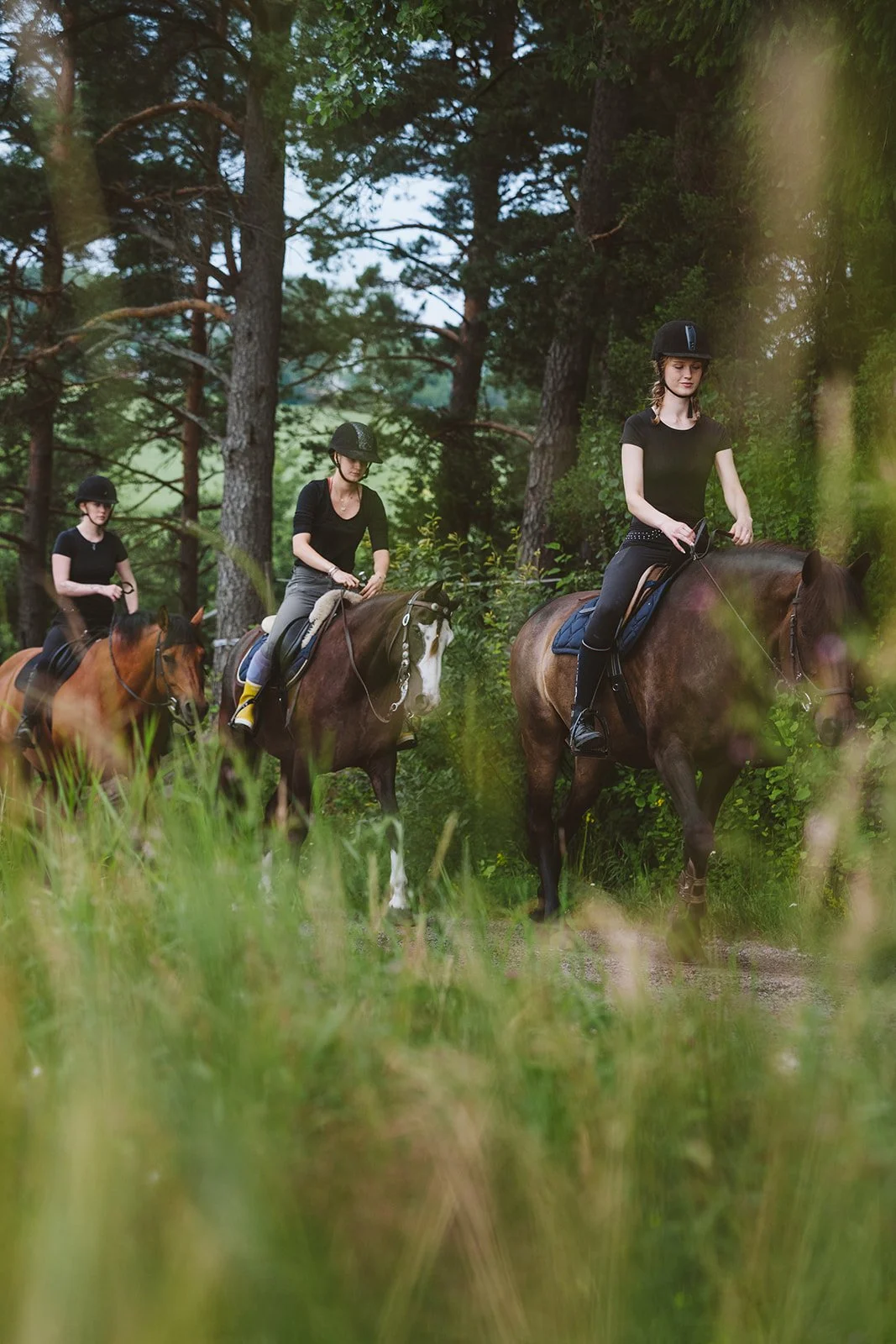 Niki Strbian maastoratsastus2_hali-hideaway.JPG