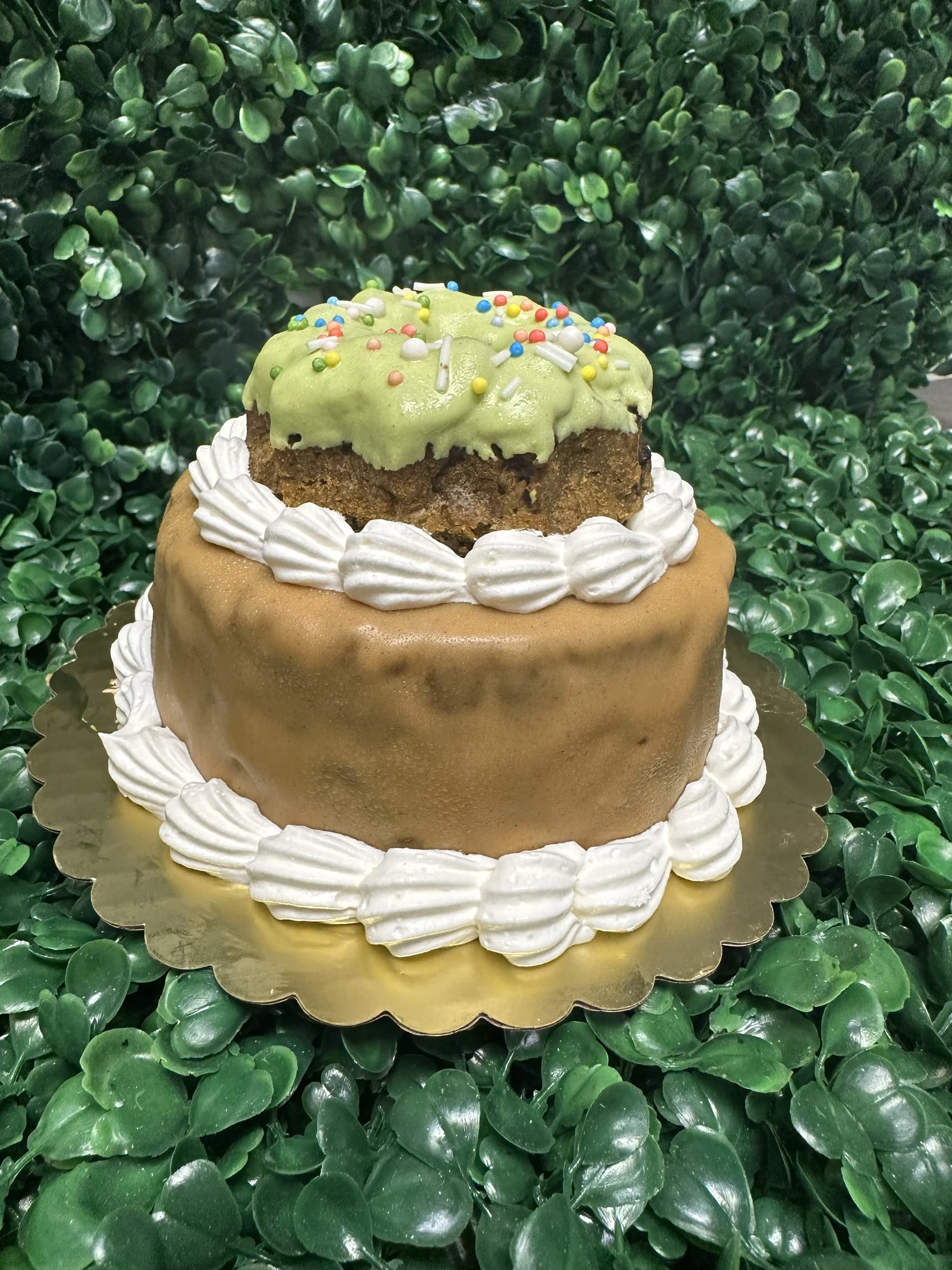 Two-tier cake with green frosting and colorful sprinkles on top, surrounded by white frosting swirls, set against a green leafy background.