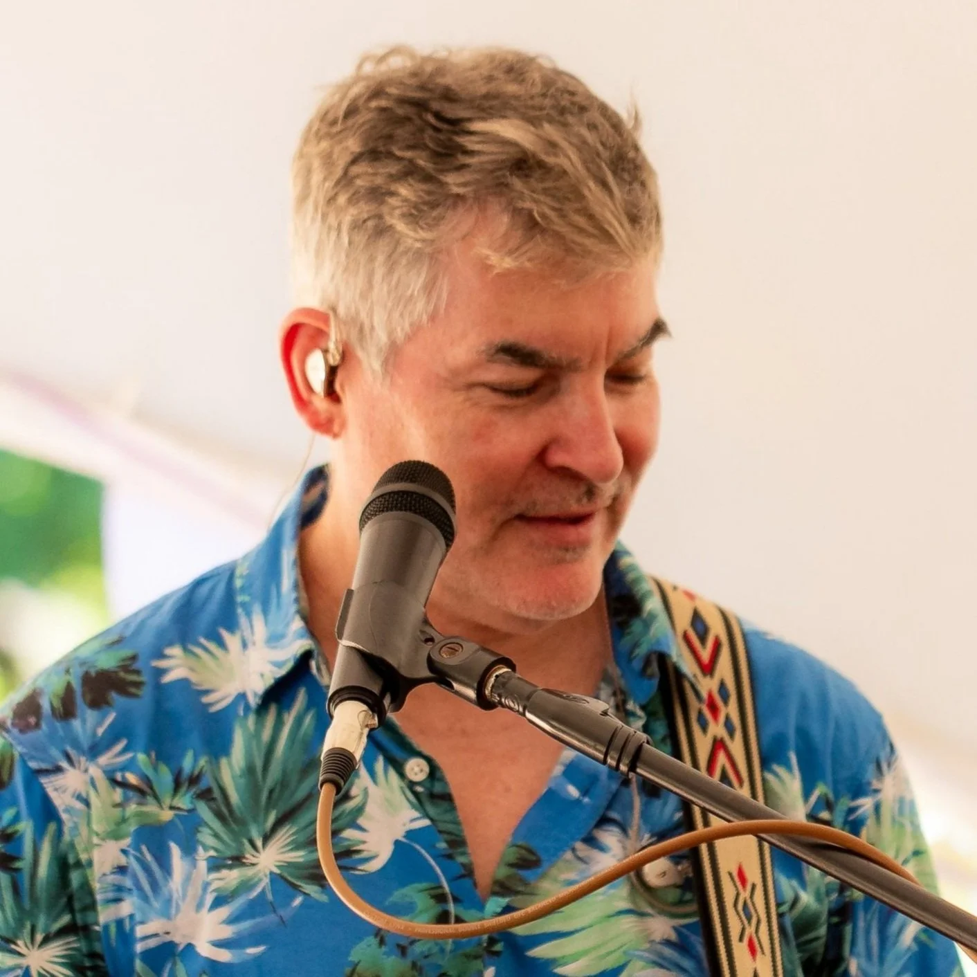 Lead guitarist Function band