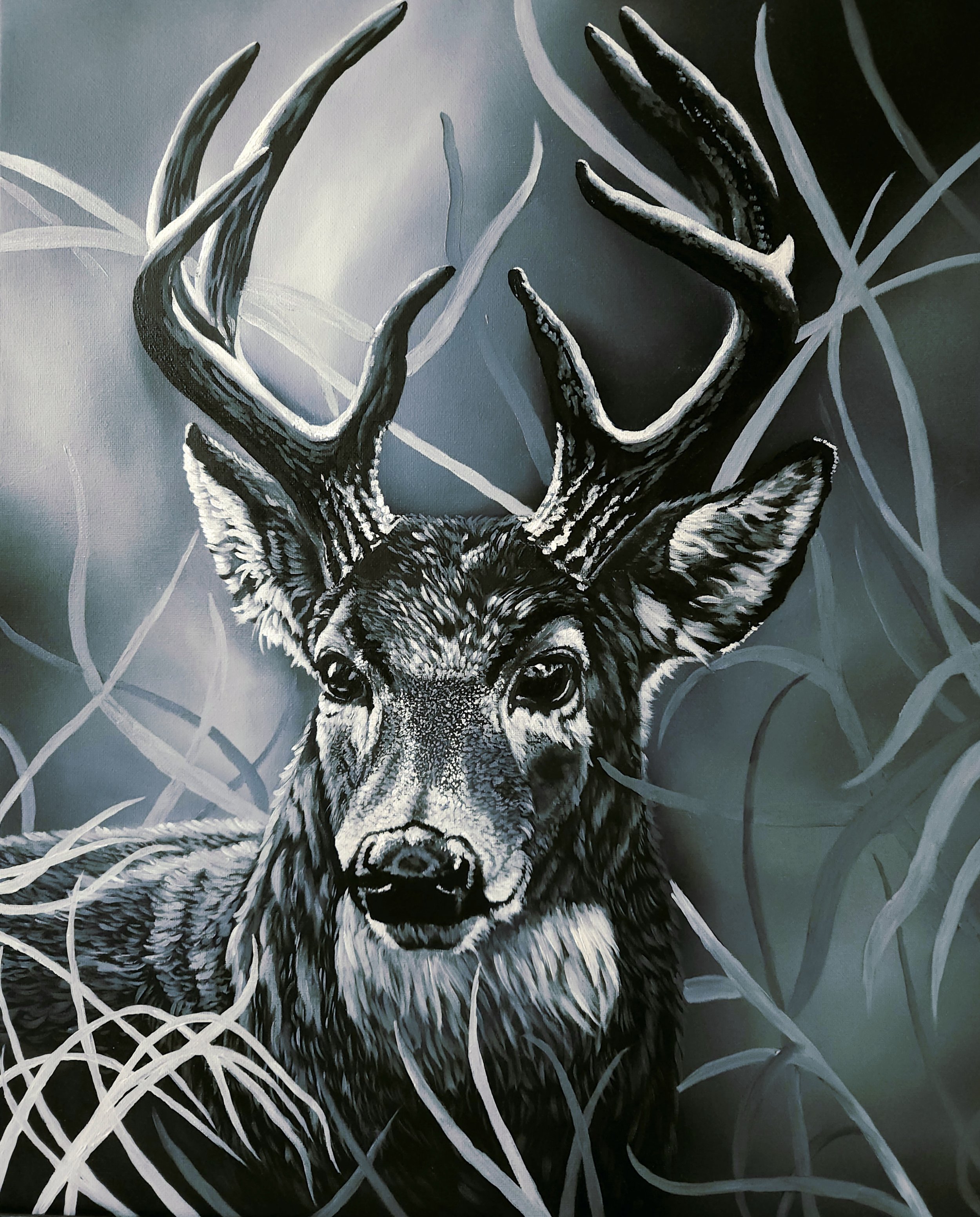 'AMBER SOLITUDE' | Limited Edition Black and White Wildlife Art Print