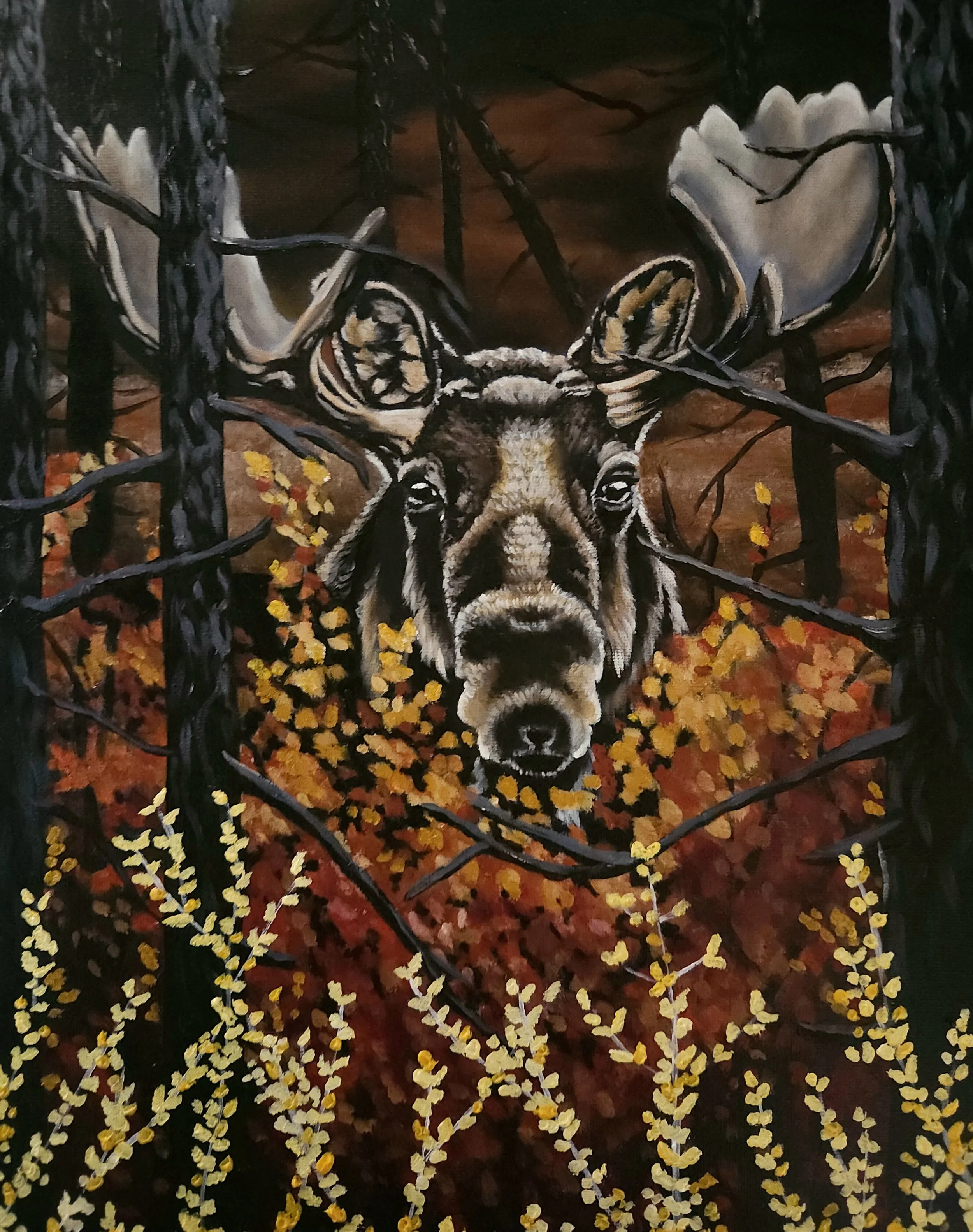 bull moose in autumn foliage oil painting by Canadian painter