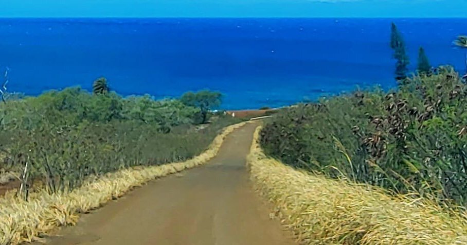 The ocean is calling&hellip;. 

and you must go. 

Check the calendar for availability&hellip;. 😎 

#hawaii #hawi #northkohala #kohalacoast #youwishyoulivedhere #bestofbigisland #bigisland #puakea #counrtyroads #hawaiilife #hawaiisbestphotos #bigisl