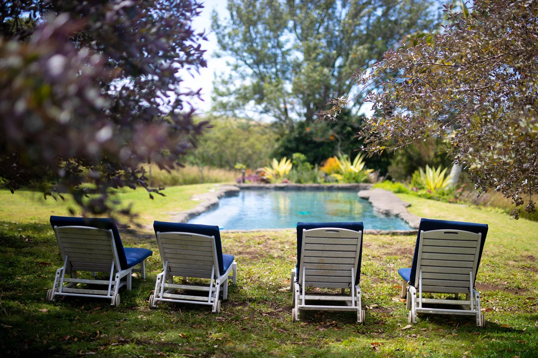 Yoshi's pool chairs web.jpeg